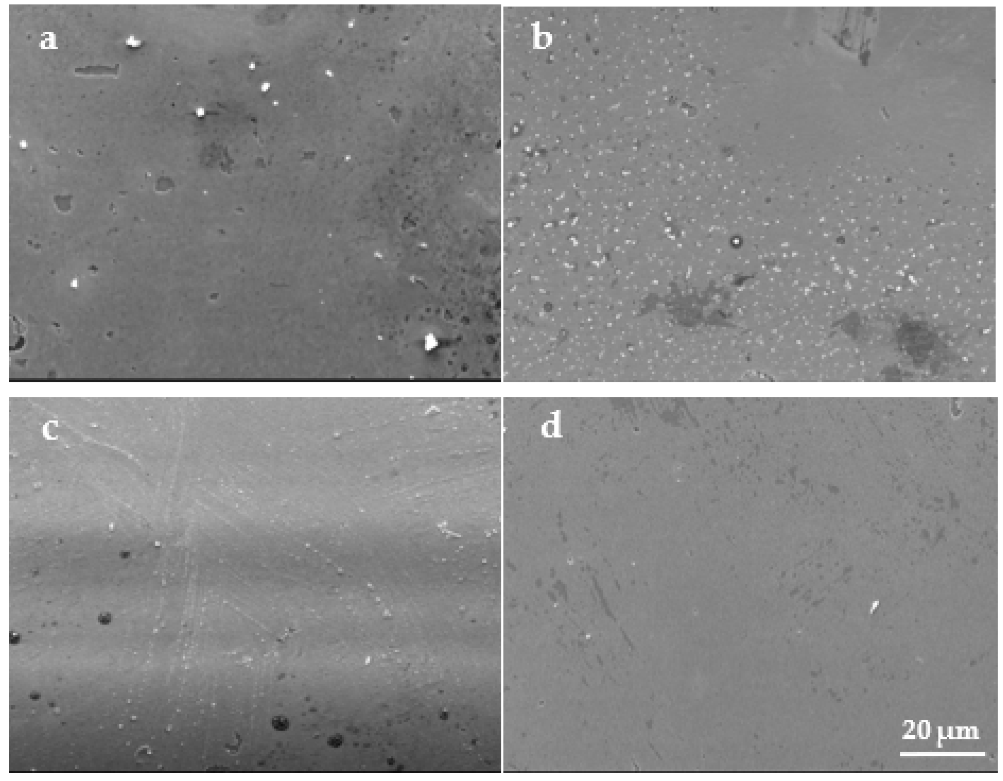 Coatings 13 00889 g002