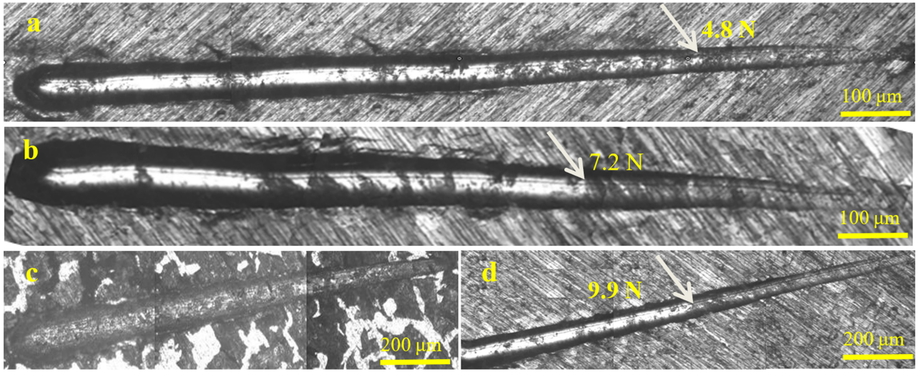 Coatings 13 00889 g007