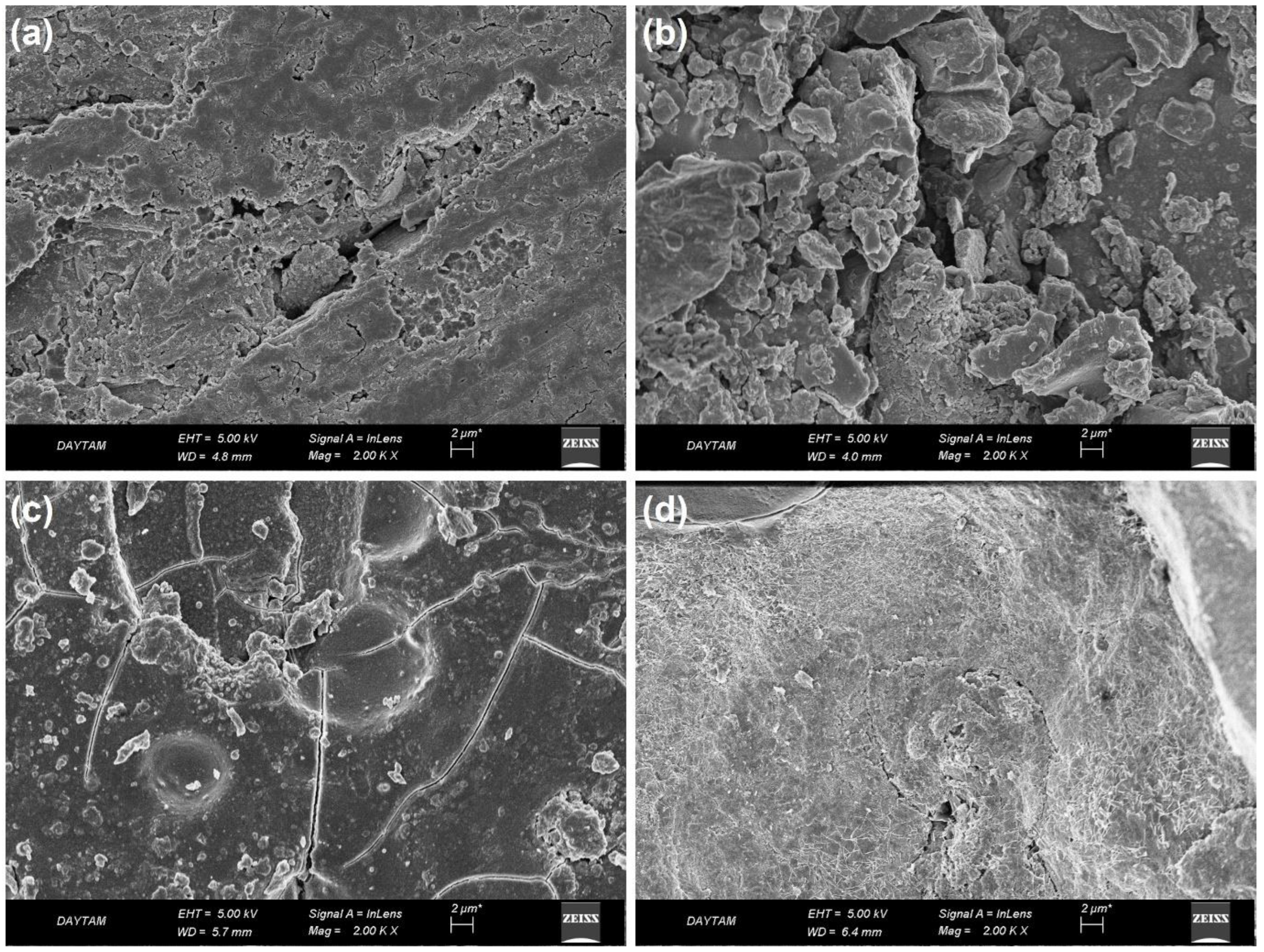 Coatings 13 00890 g012 Coatings 13 00890 g012