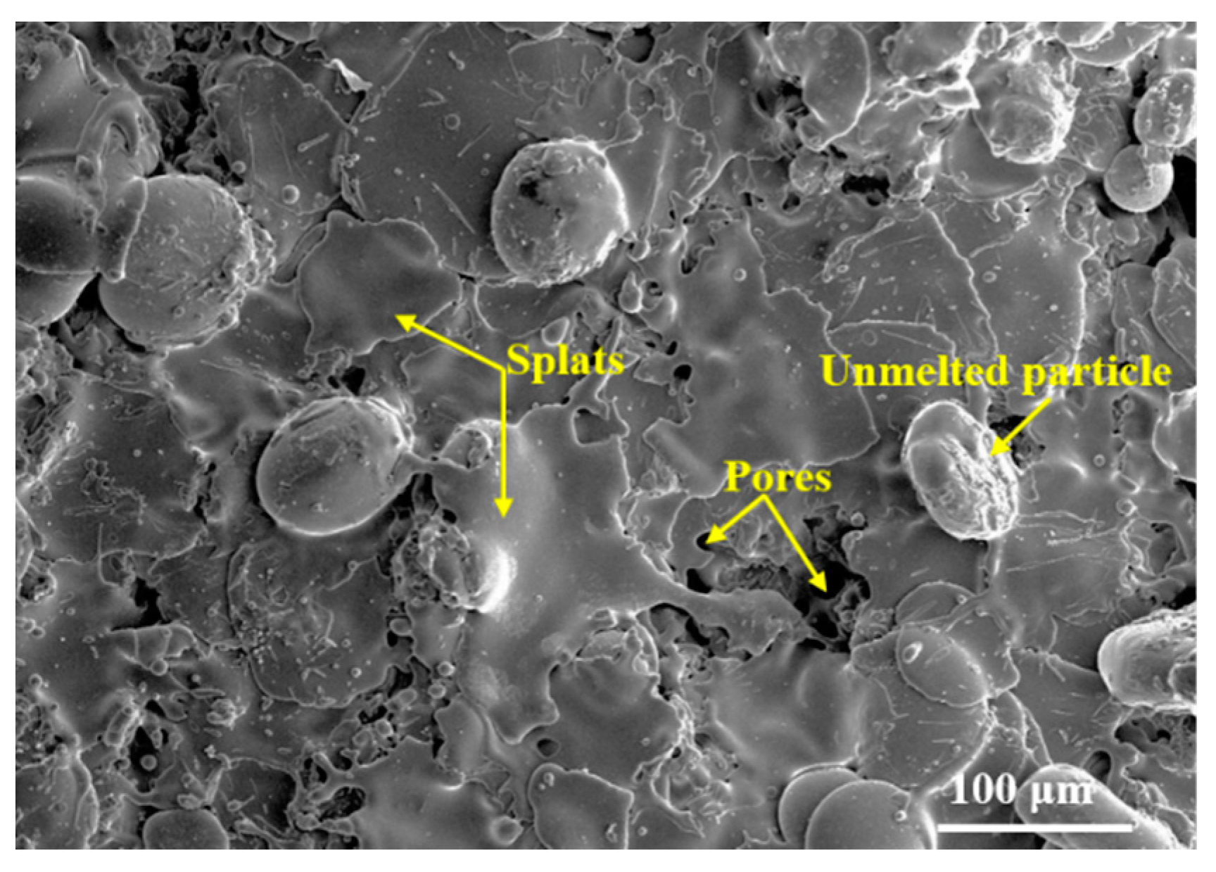 Coatings 13 00894 g003