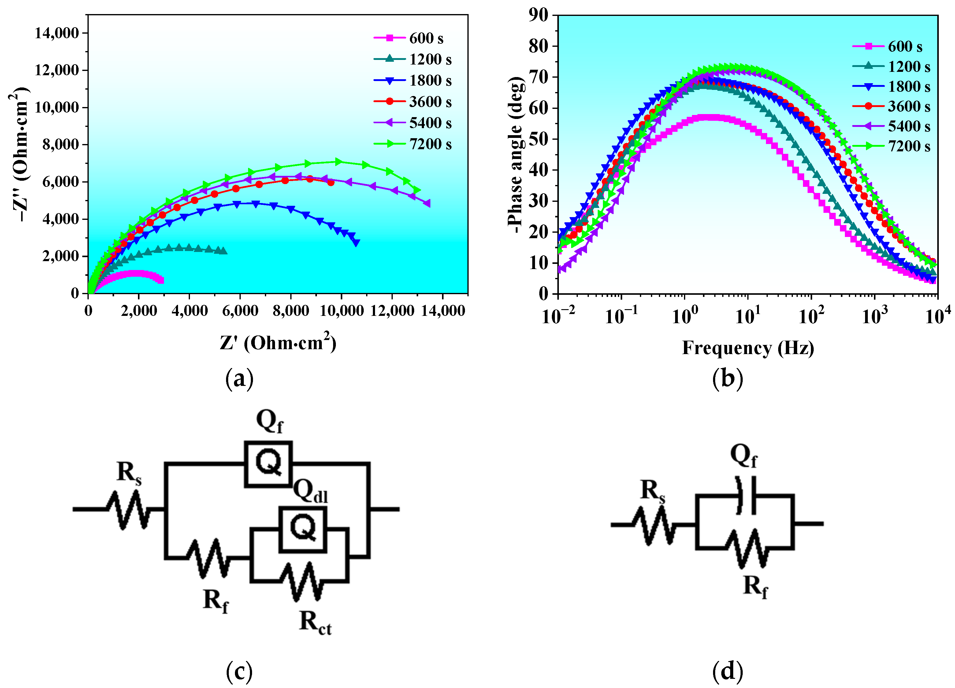 Coatings 13 00894 g007