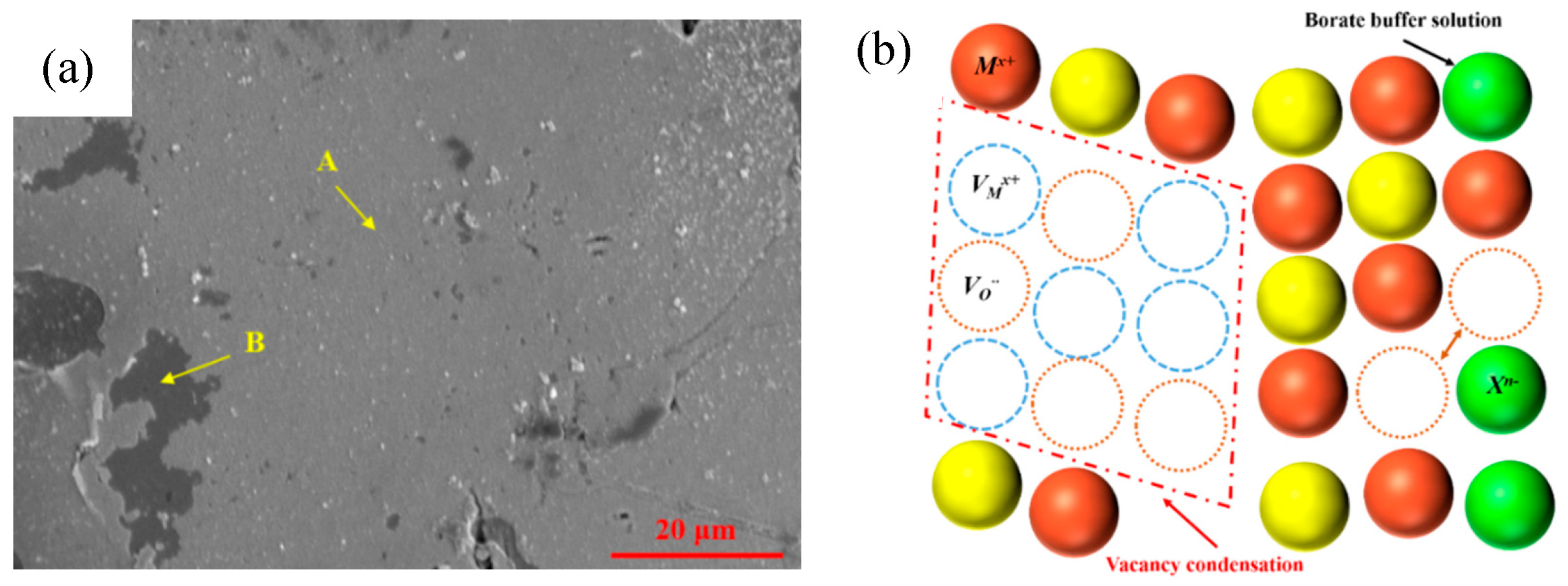 Coatings 13 00894 g015