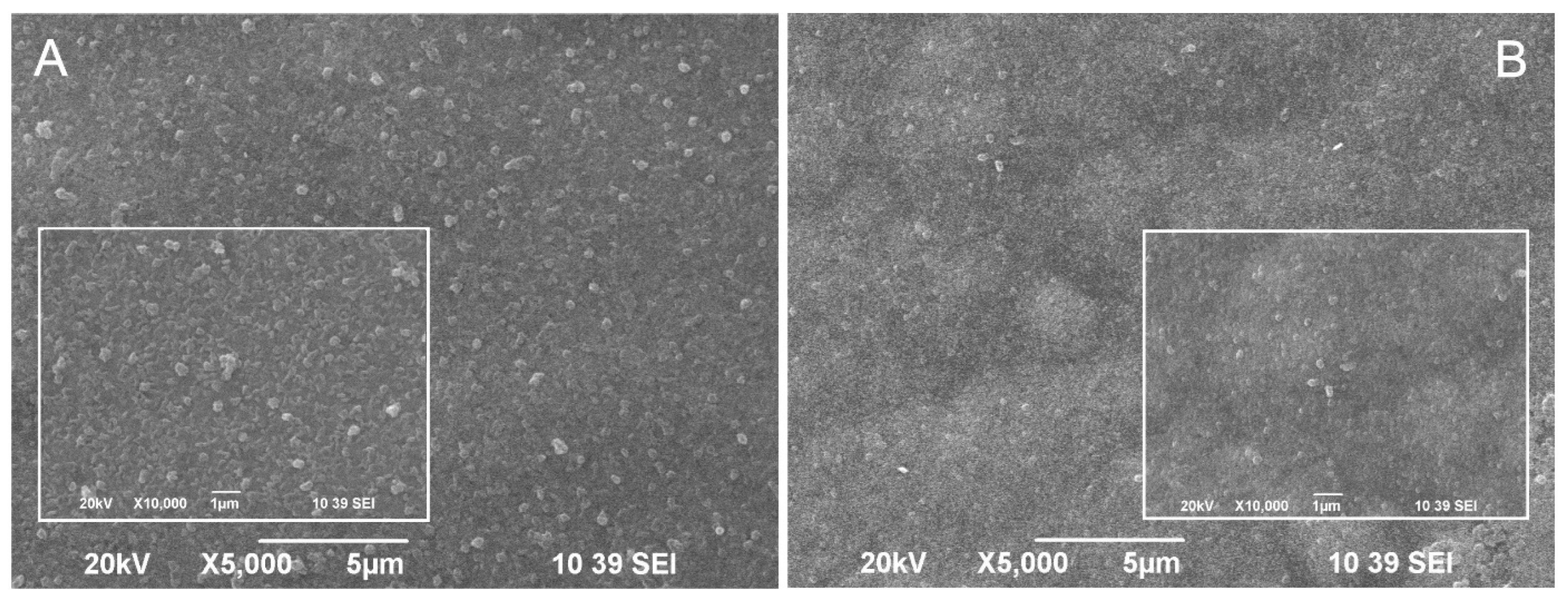 Coatings 13 00895 g002