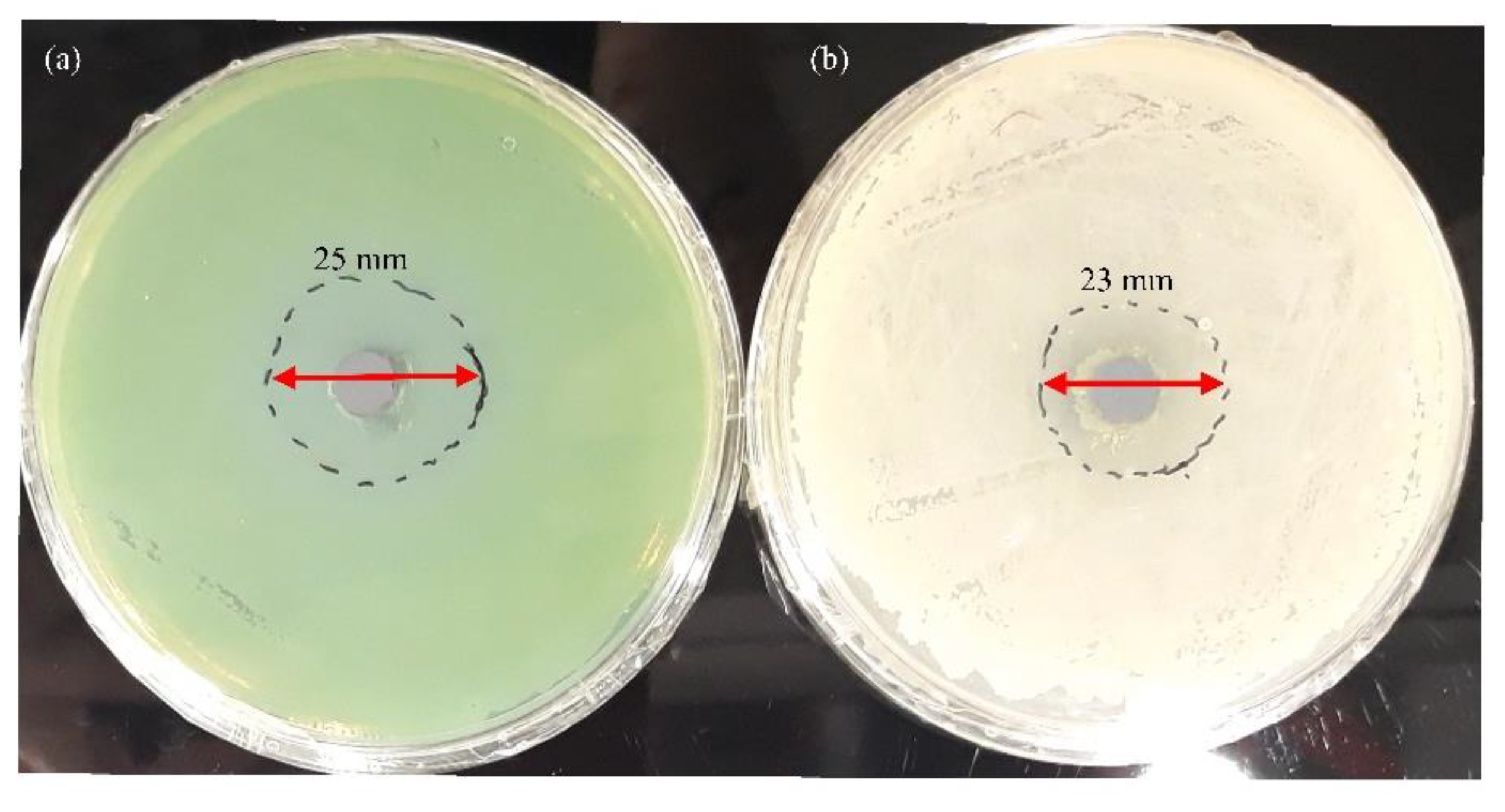 Coatings 13 00898 g013 Coatings 13 00898 g013