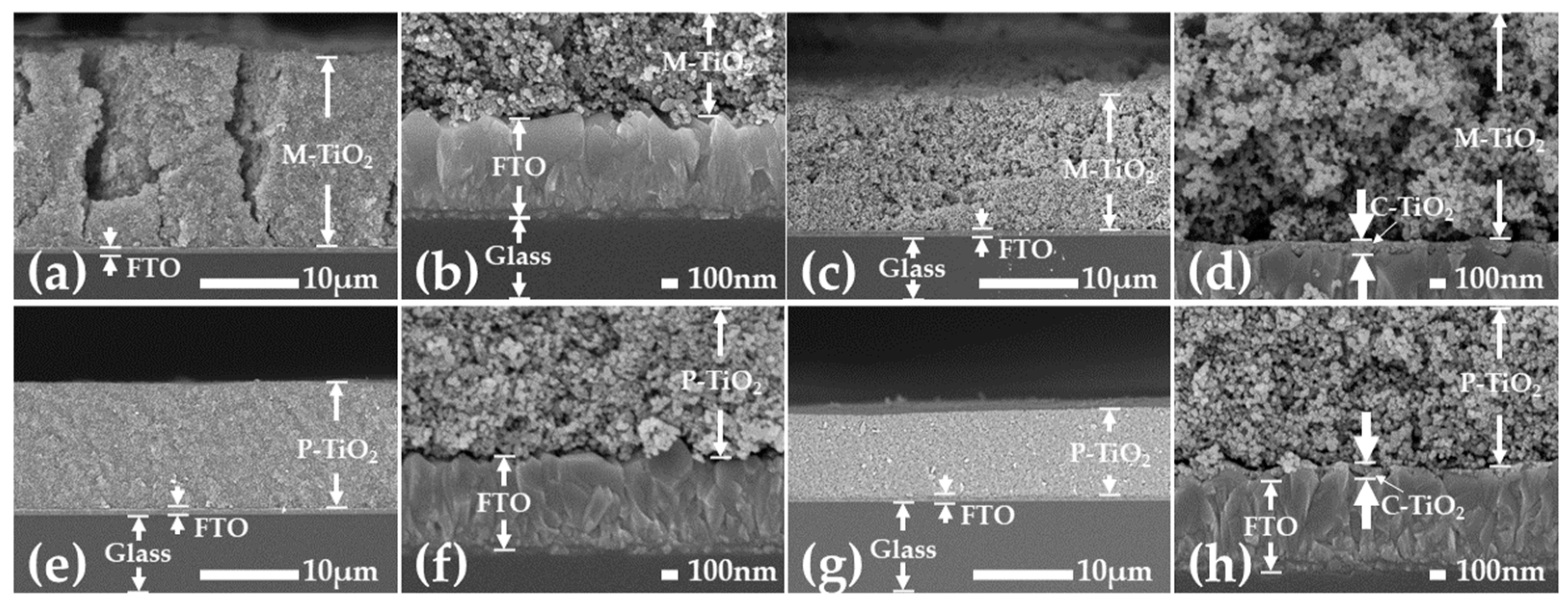 Coatings 13 00907 g002 Coatings 13 00907 g002