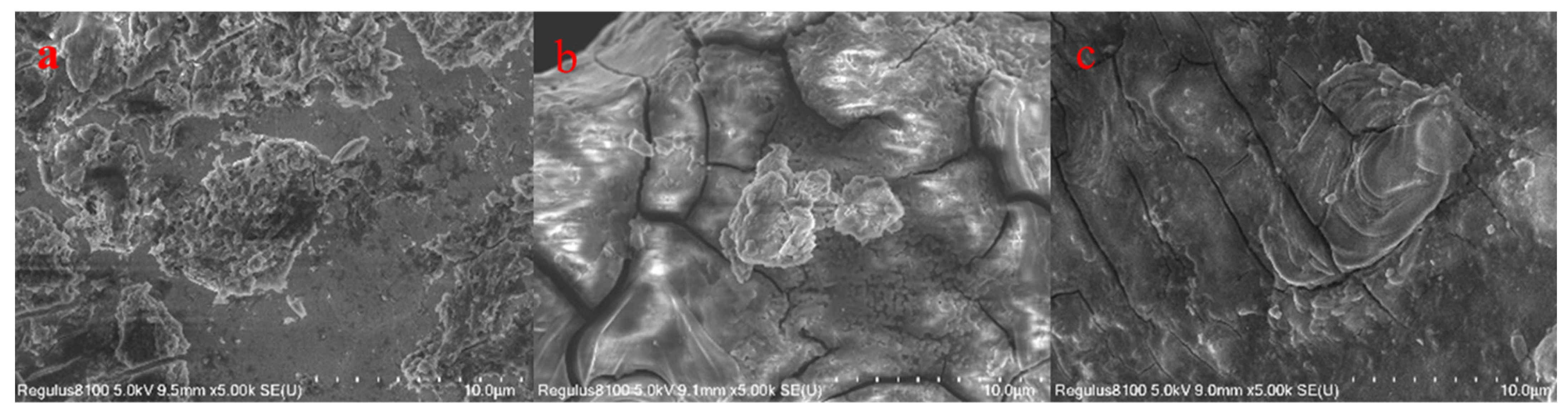 Coatings 13 00908 g002a Coatings 13 00908 g002a