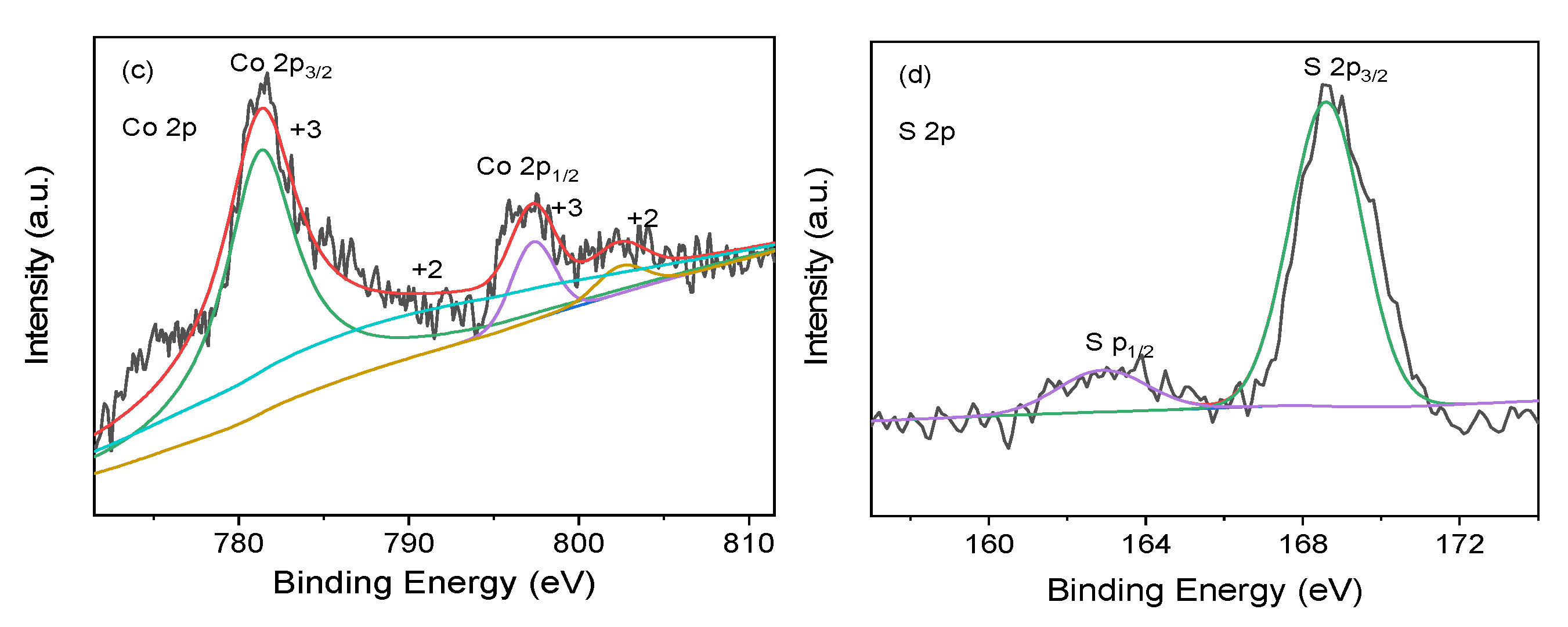 Coatings 13 00908 g004b Coatings 13 00908 g004b