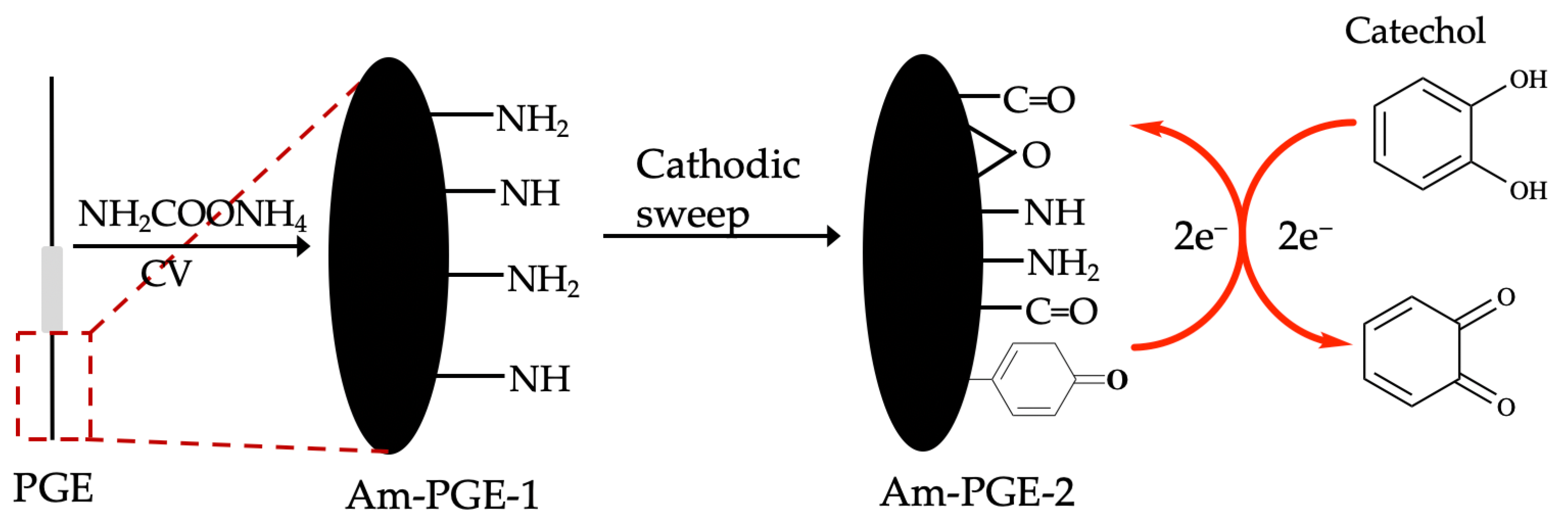 Coatings 13 00913 sch001 Coatings 13 00913 sch001