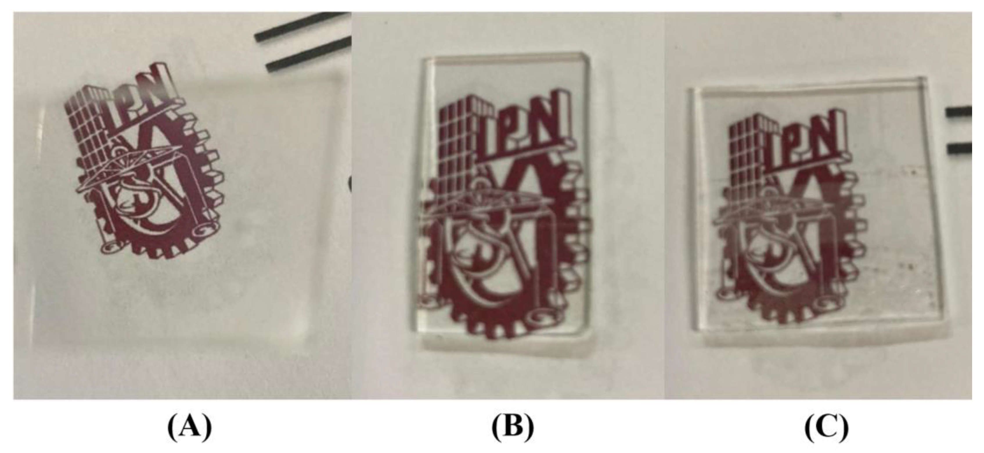 Coatings 13 00915 g003