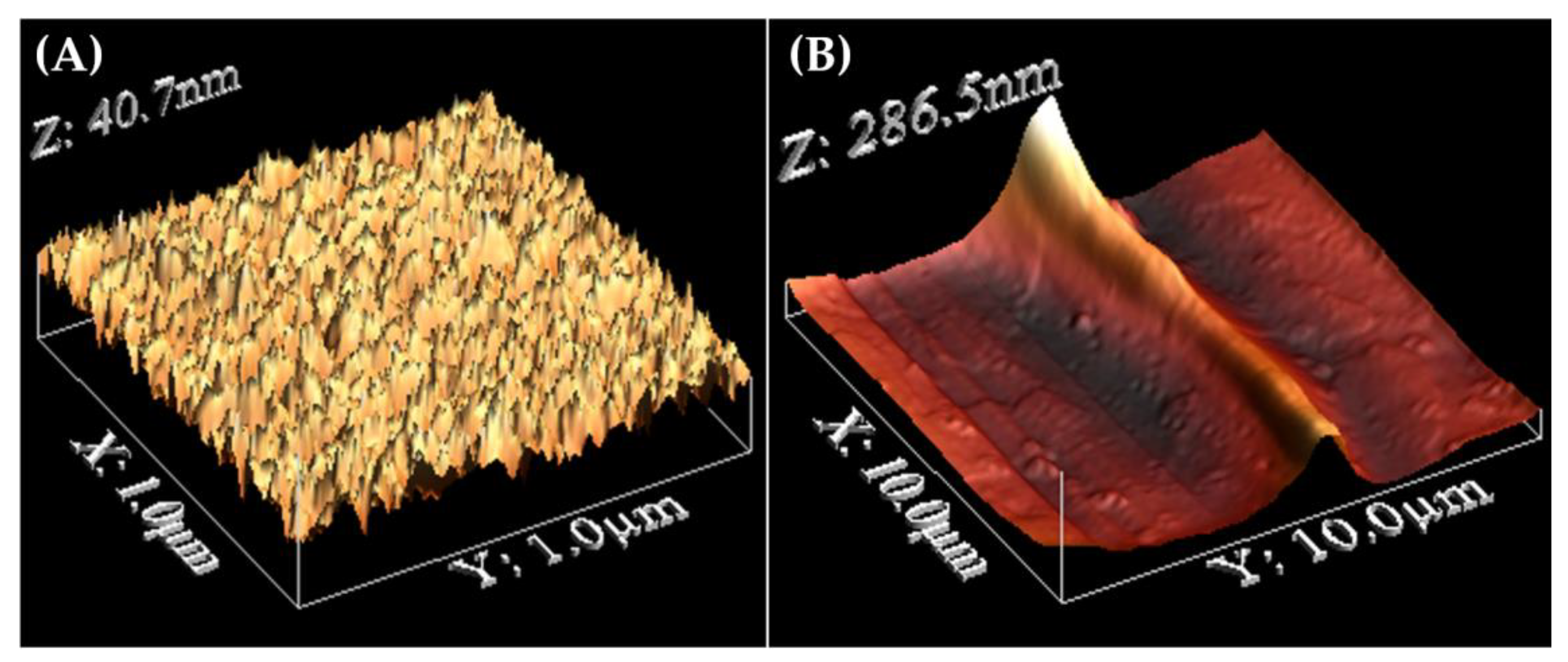 Coatings 13 00915 g008