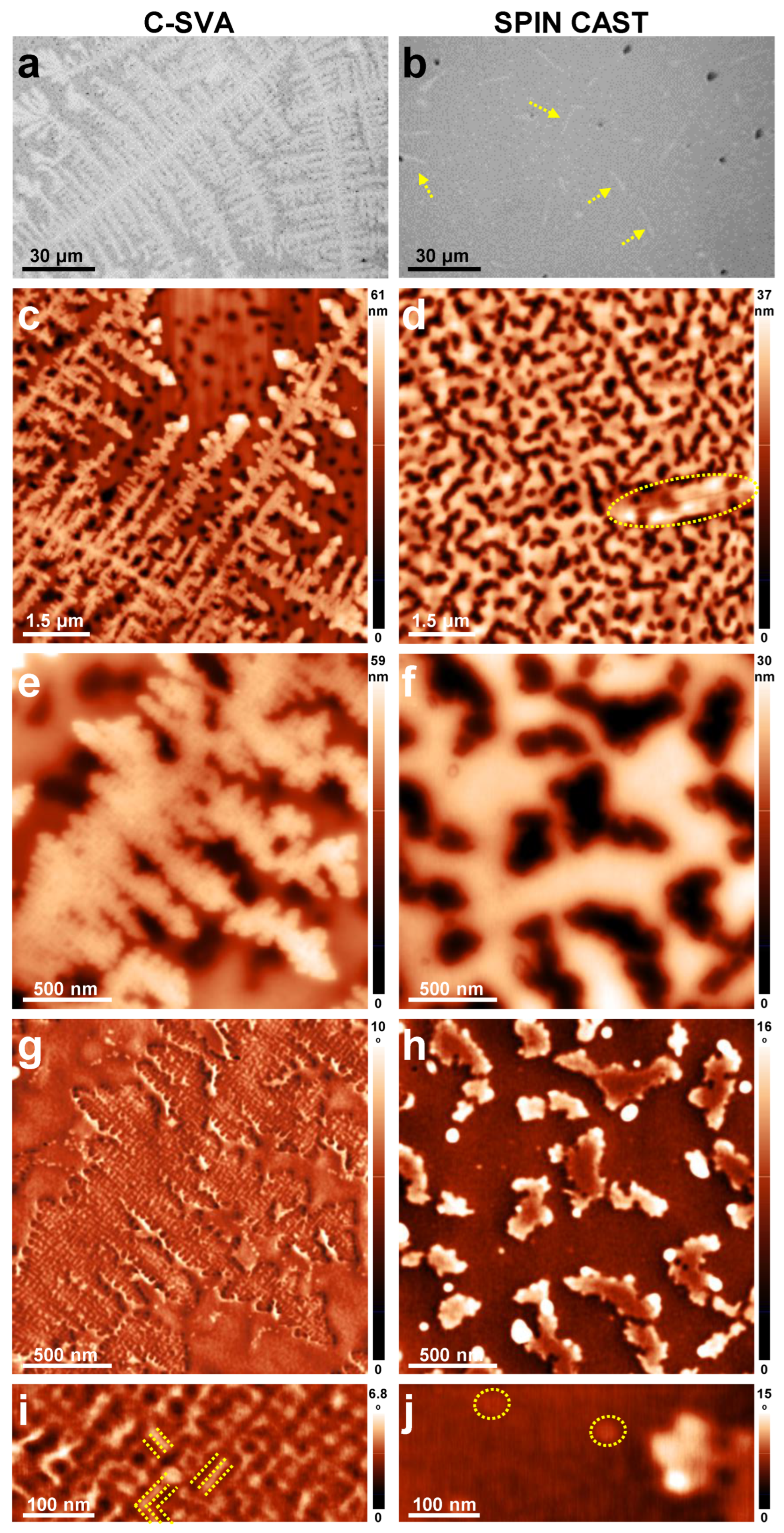 Coatings 13 00918 g003 Coatings 13 00918 g003