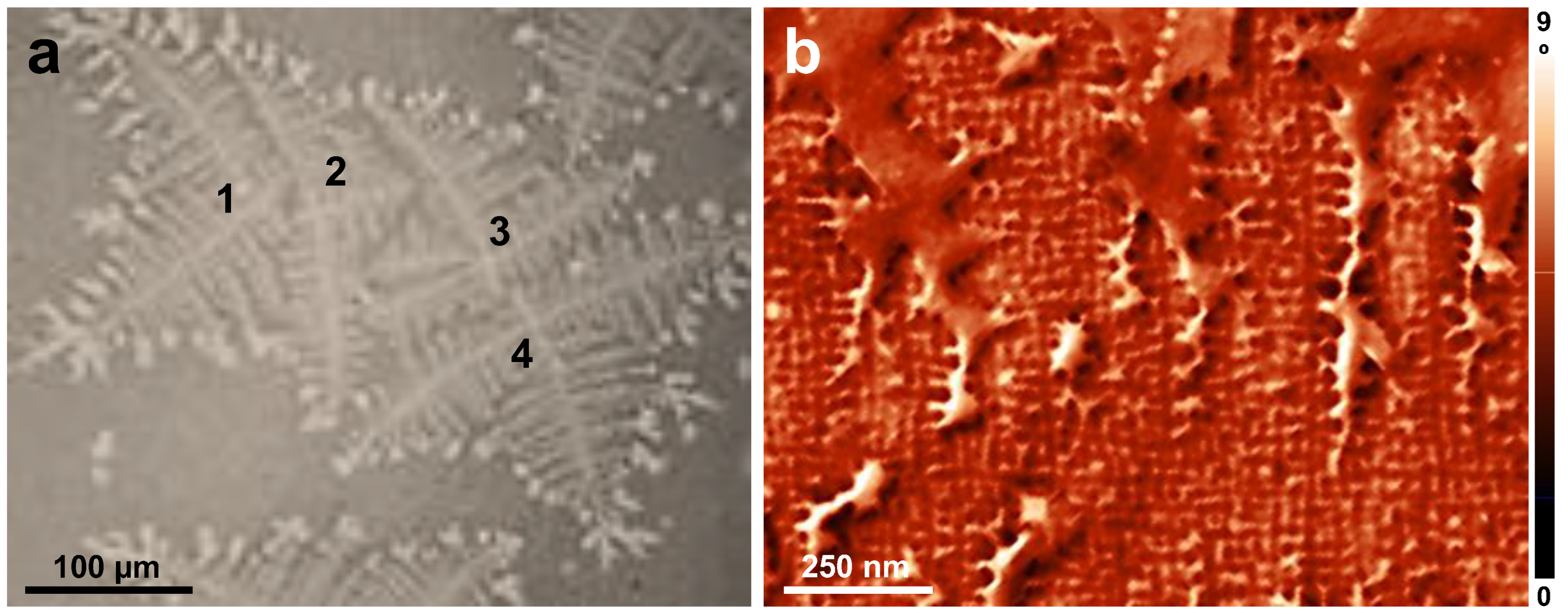 Coatings 13 00918 g004 Coatings 13 00918 g004