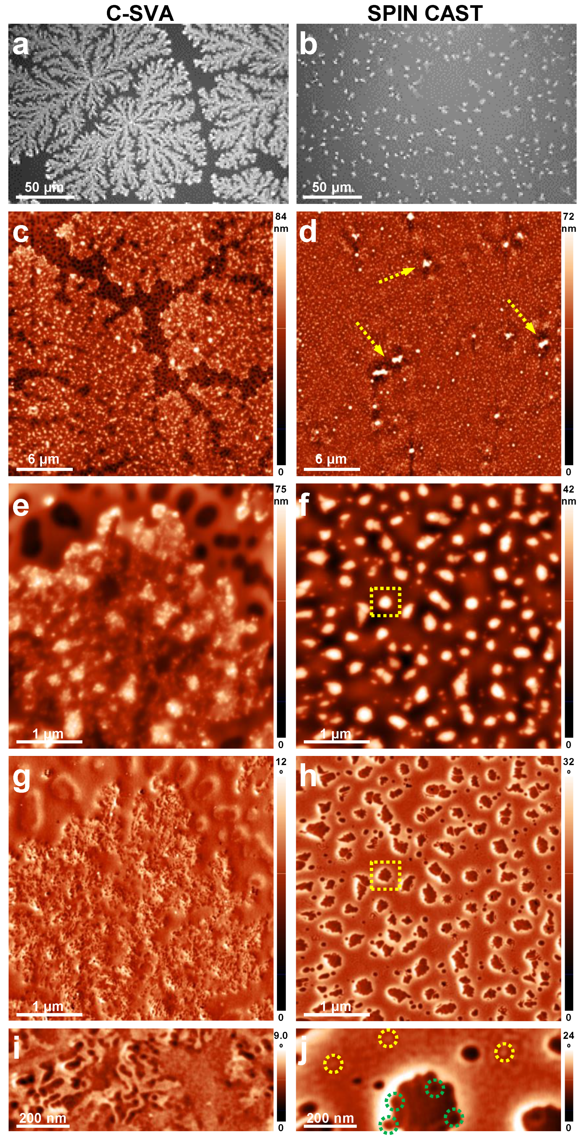 Coatings 13 00918 g005 Coatings 13 00918 g005