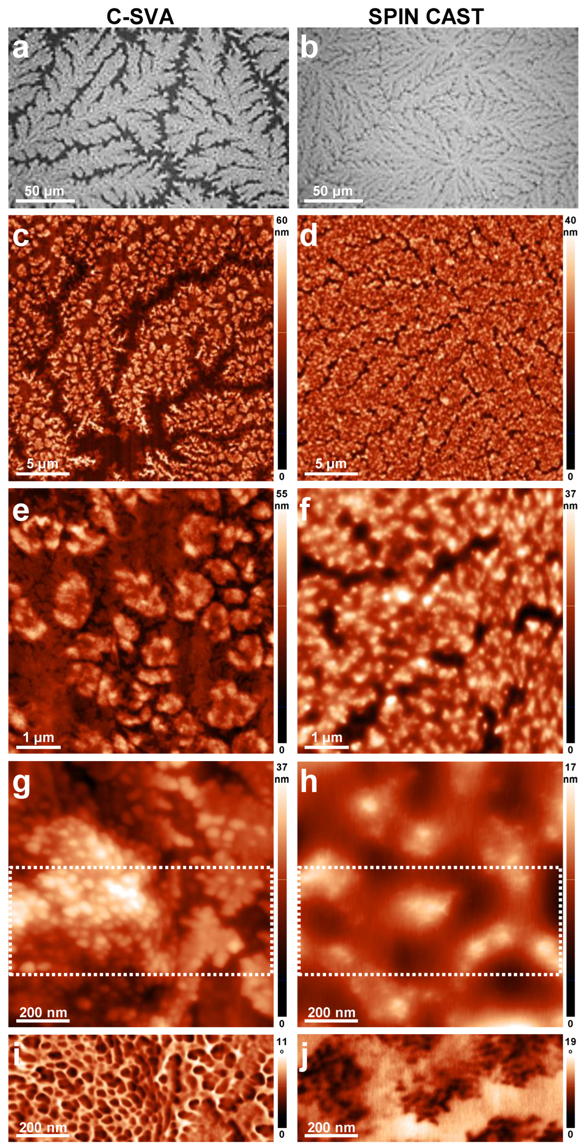 Coatings 13 00918 g006 Coatings 13 00918 g006
