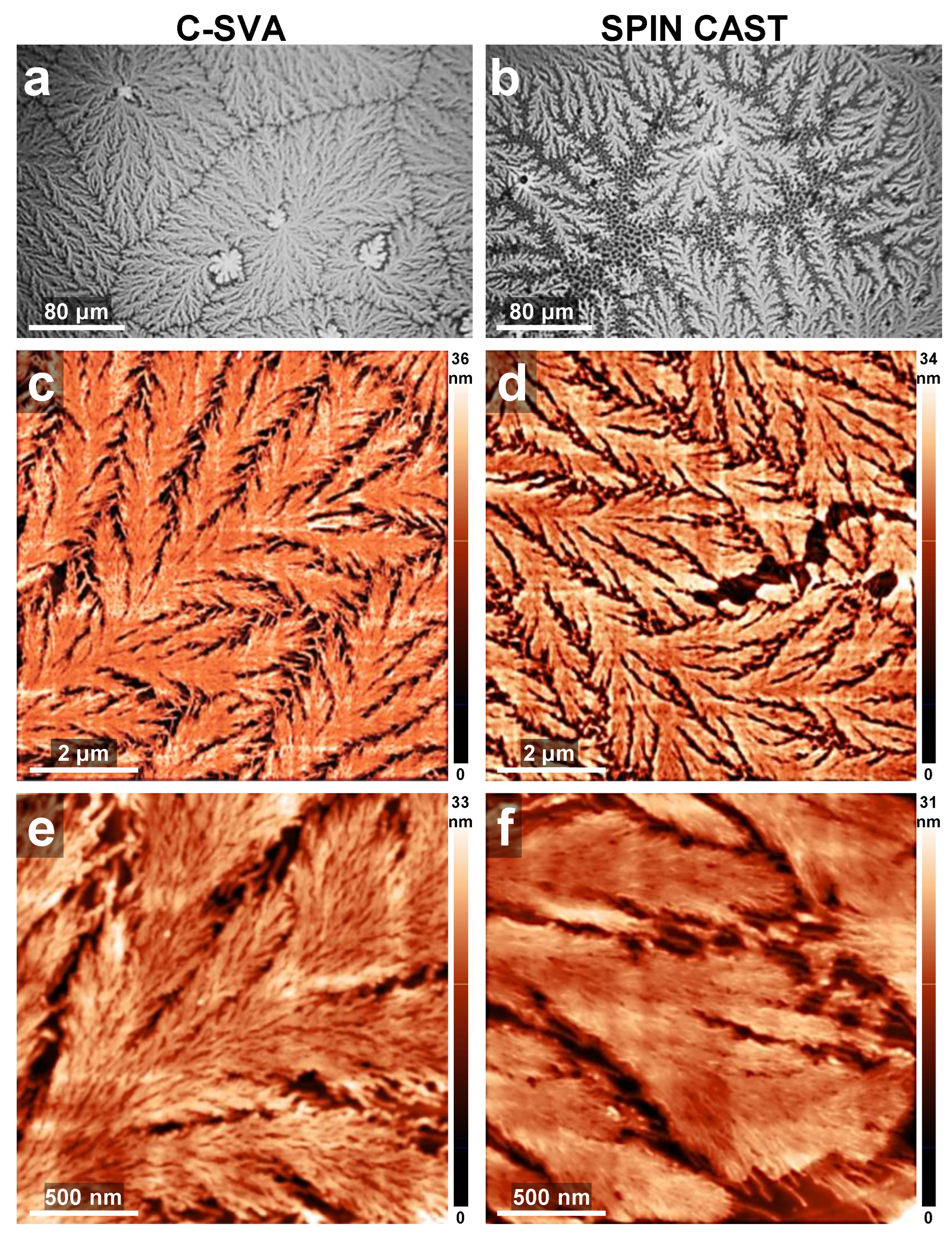 Coatings 13 00918 g007a Coatings 13 00918 g007a