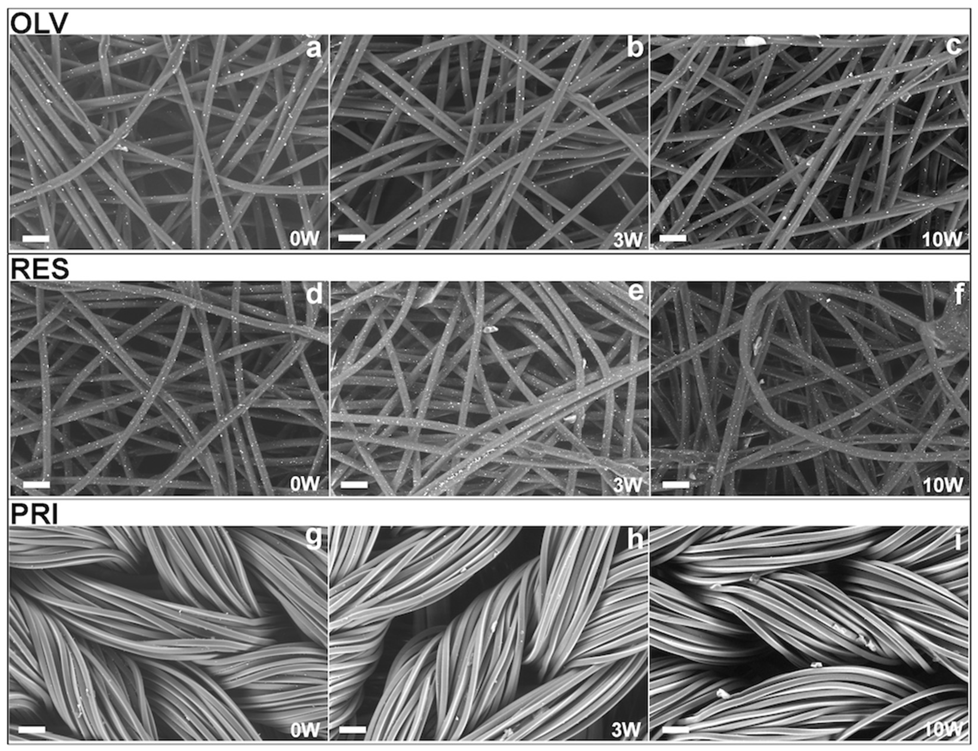 Coatings 13 00919 g003 Coatings 13 00919 g003