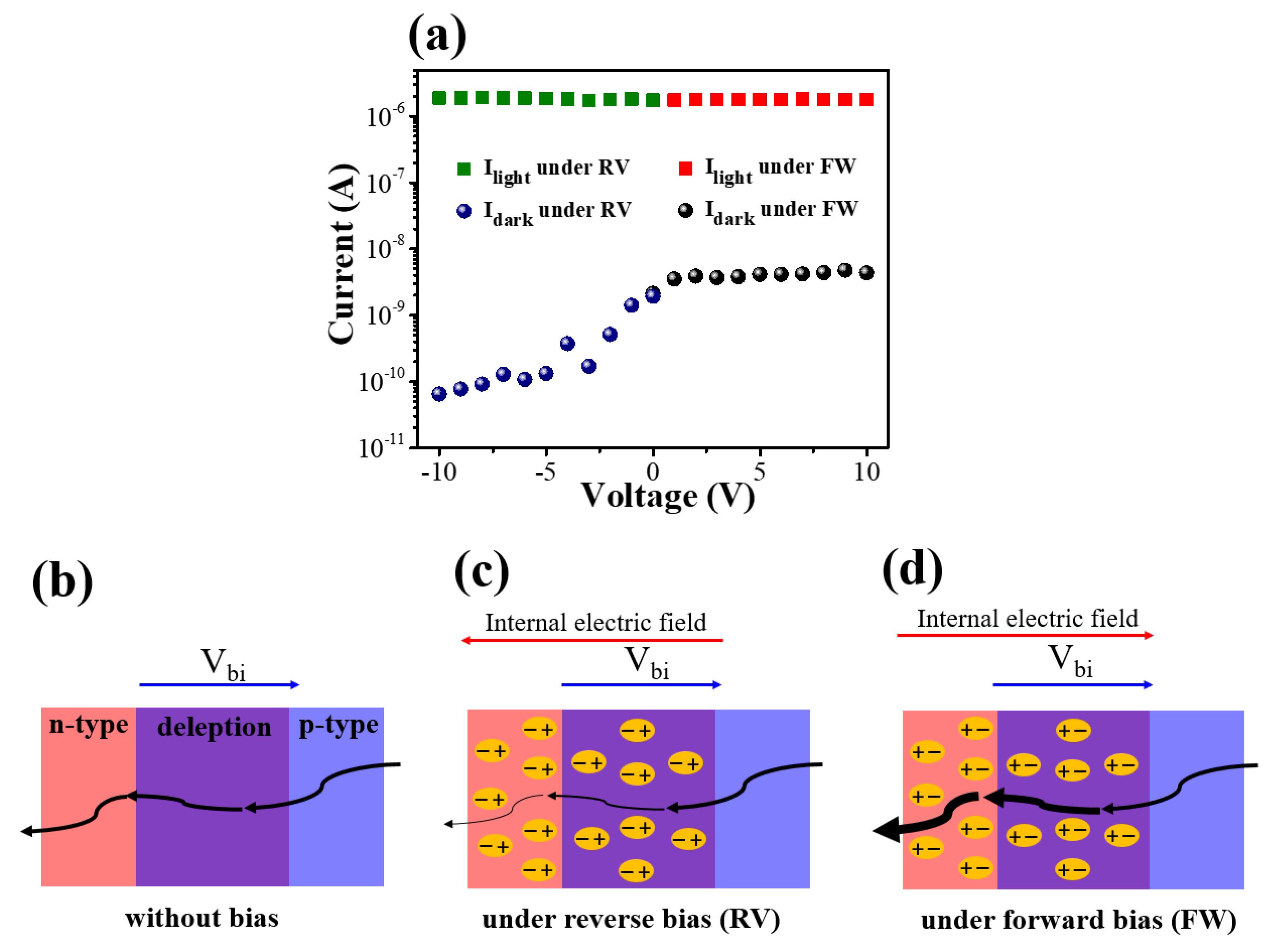 Coatings 13 00921 g005