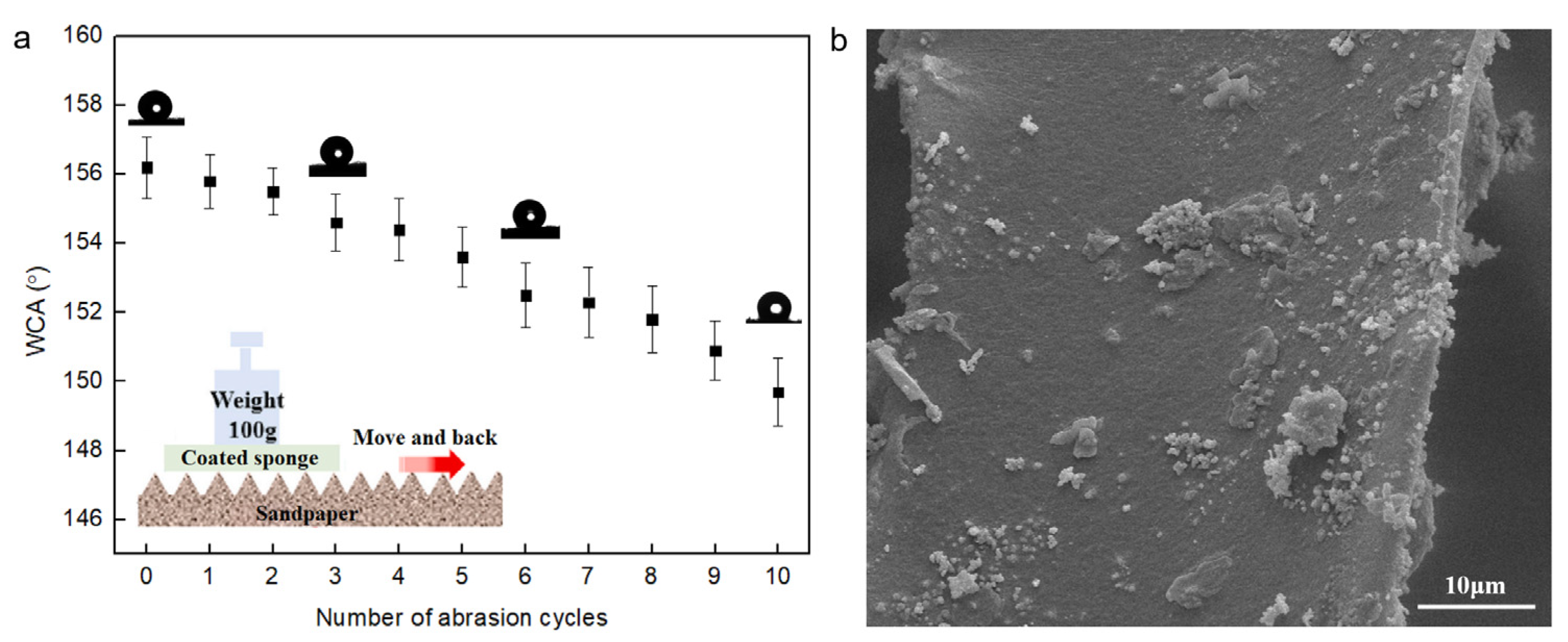 Coatings 13 00925 g008a 550