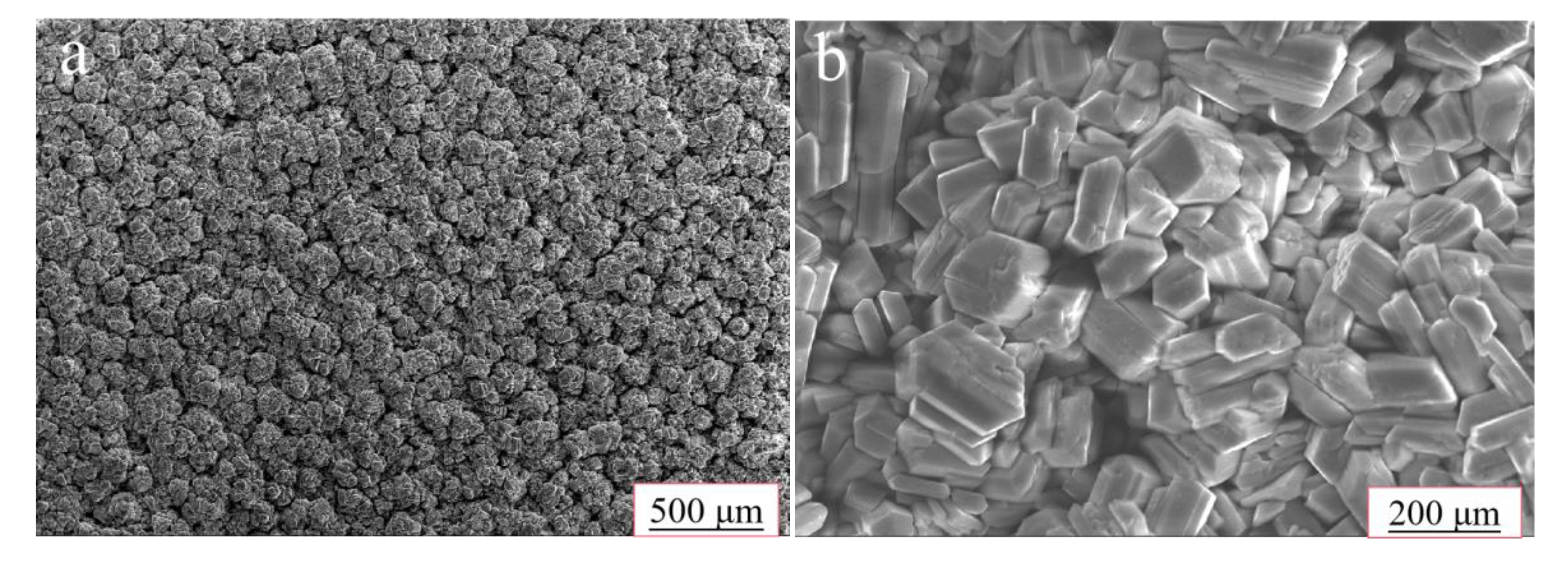 Coatings 13 00929 g007a