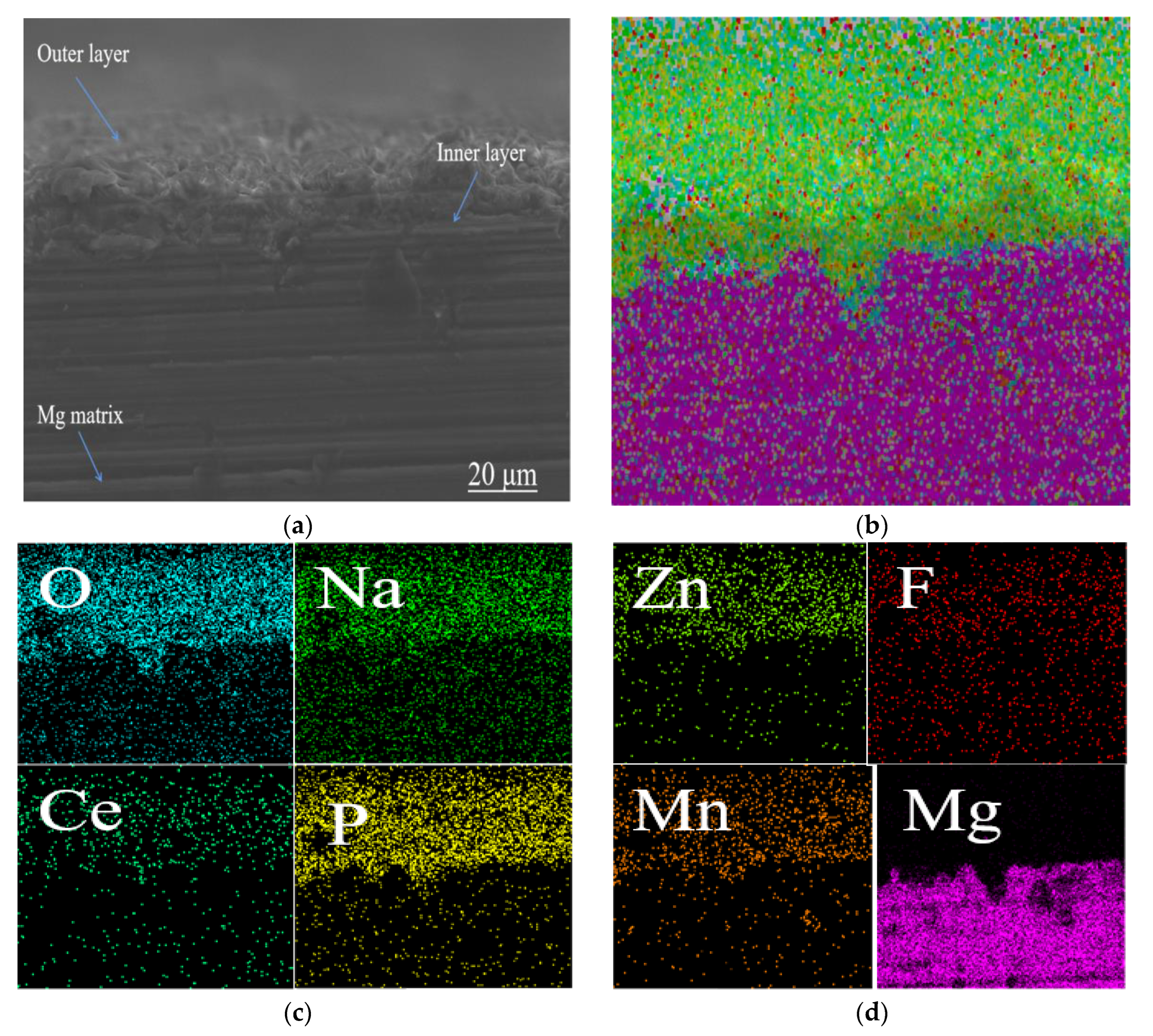Coatings 13 00929 g014