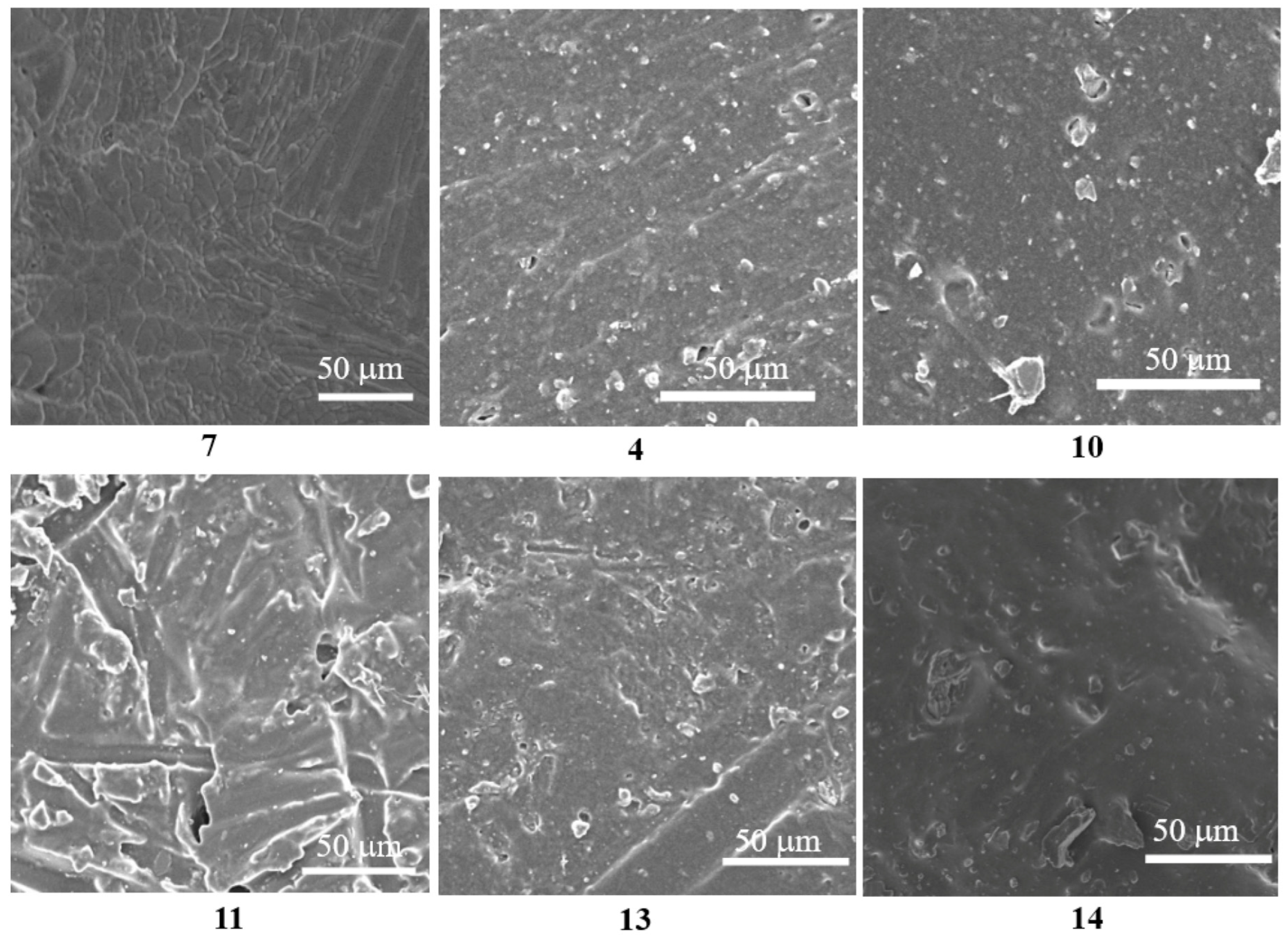 Coatings 13 00934 g008