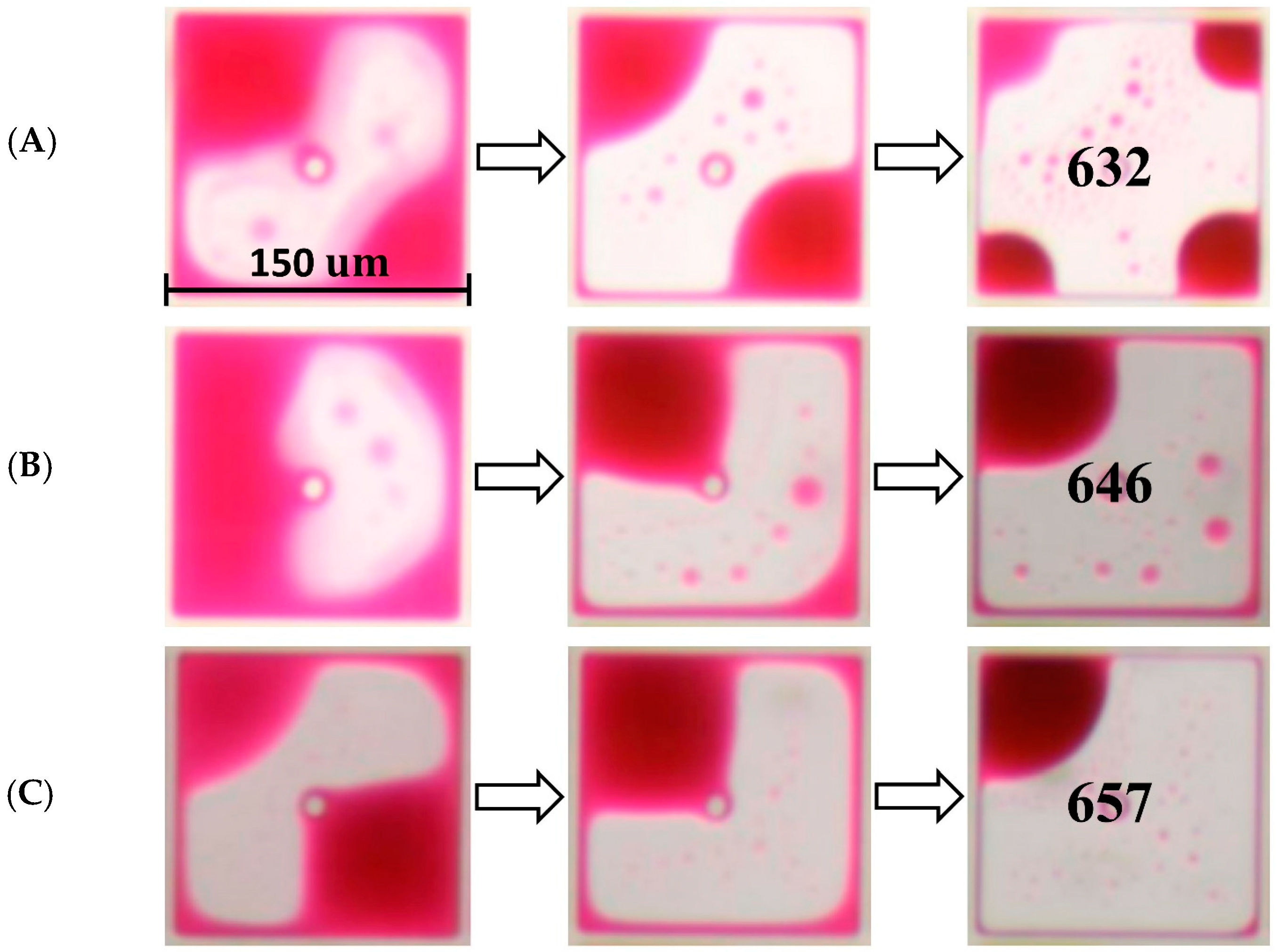 Coatings 13 00935 g011 Coatings 13 00935 g011