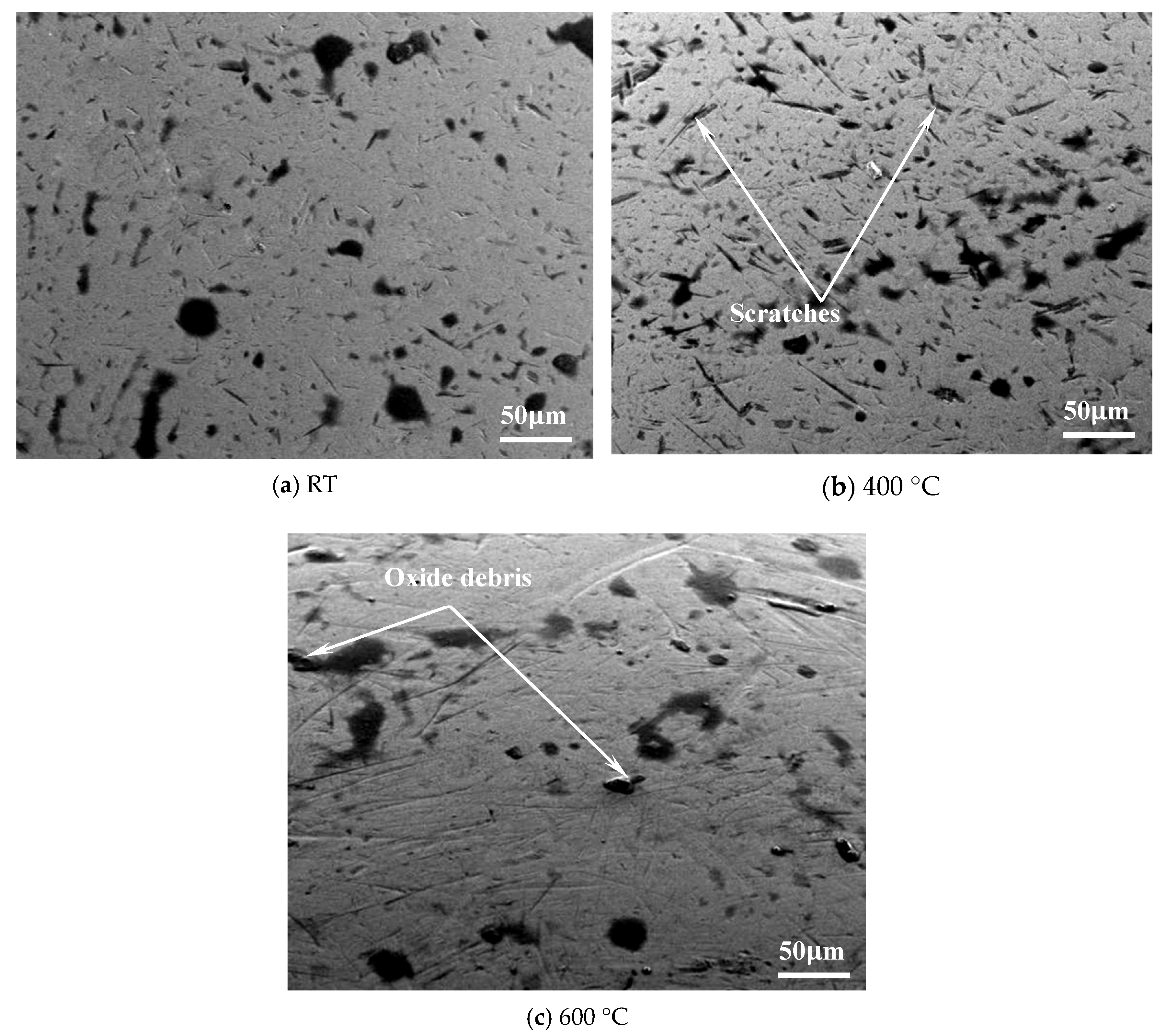 Coatings 13 00939 g006