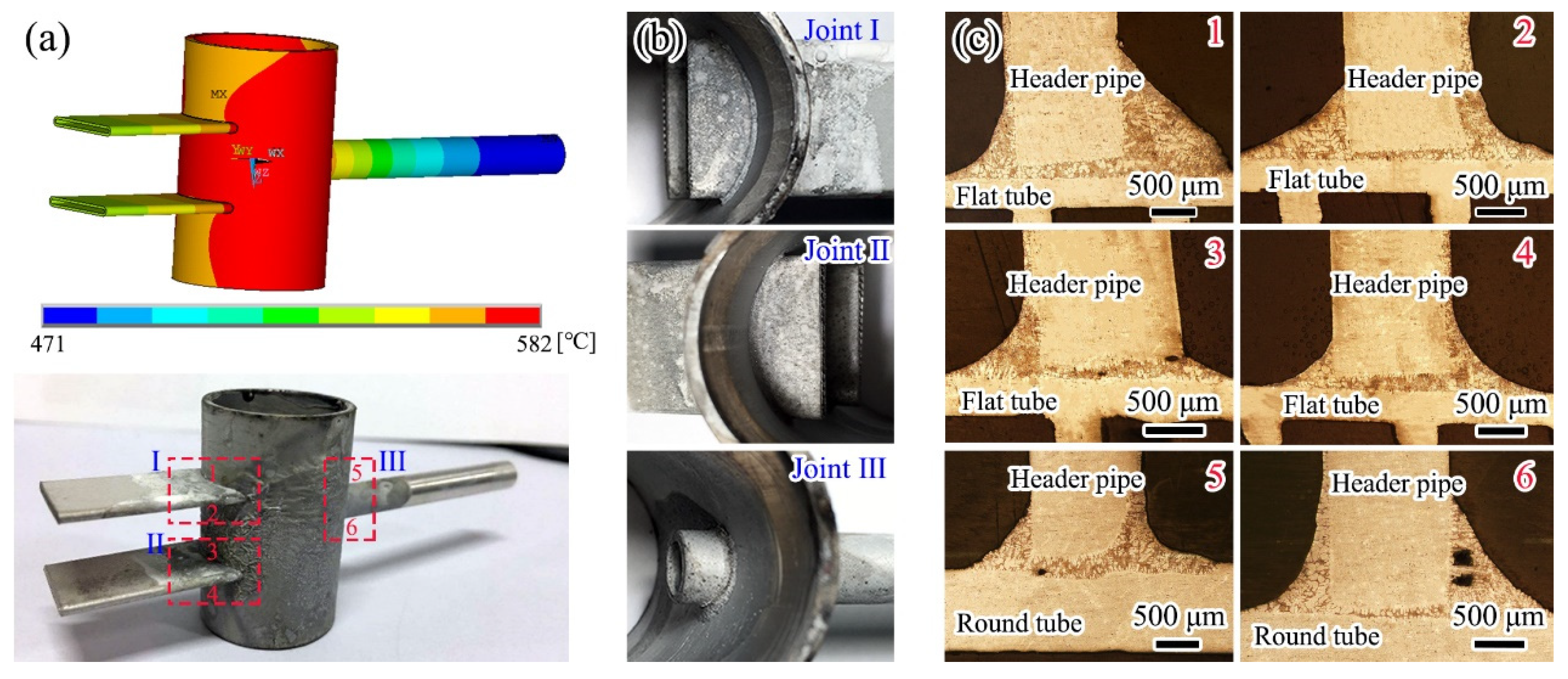 Coatings 13 00940 g010