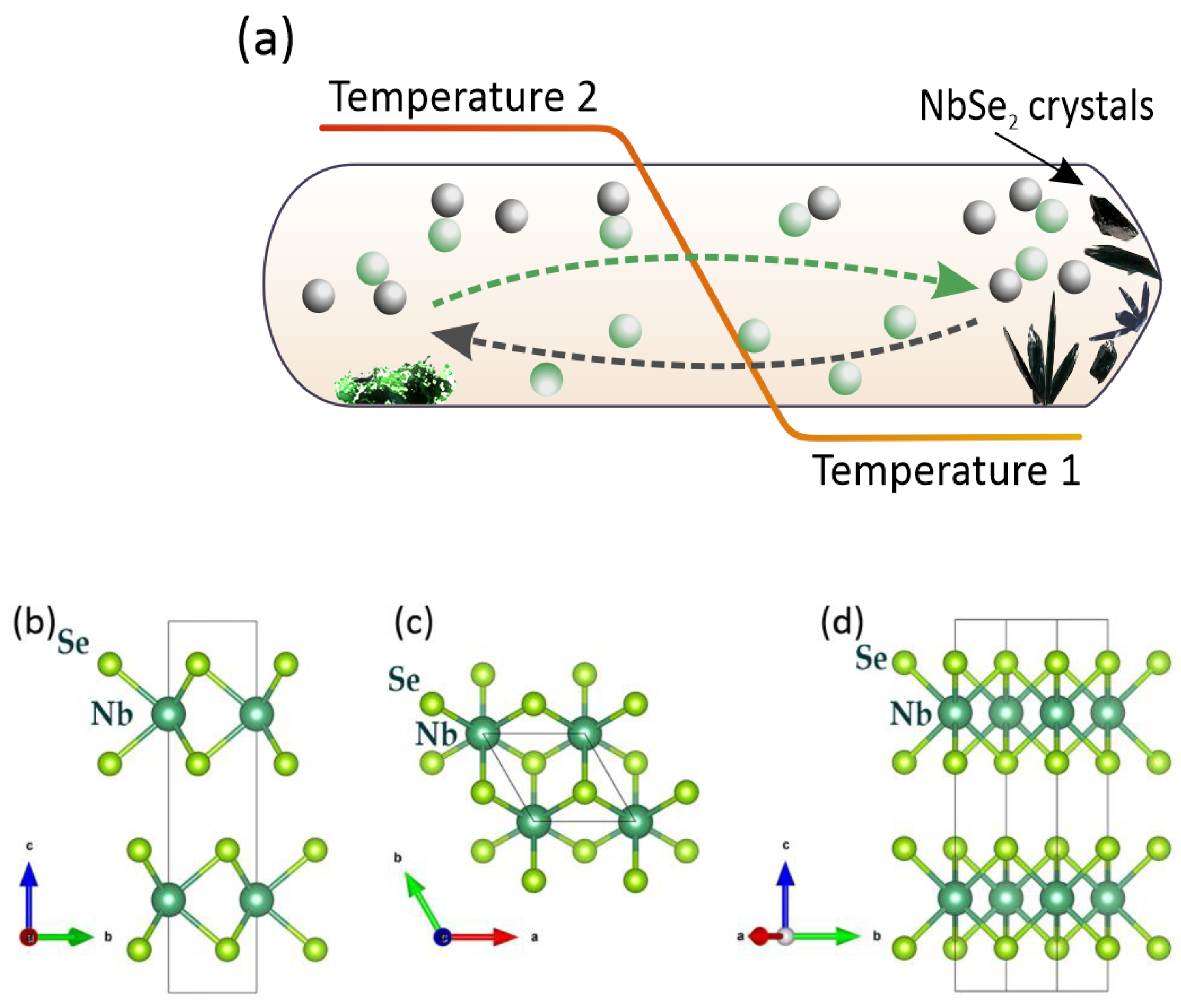 Coatings 13 00947 g001 Coatings 13 00947 g001