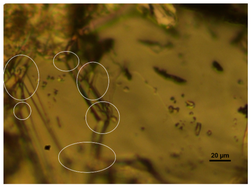 Coatings 13 00947 g003 Coatings 13 00947 g003