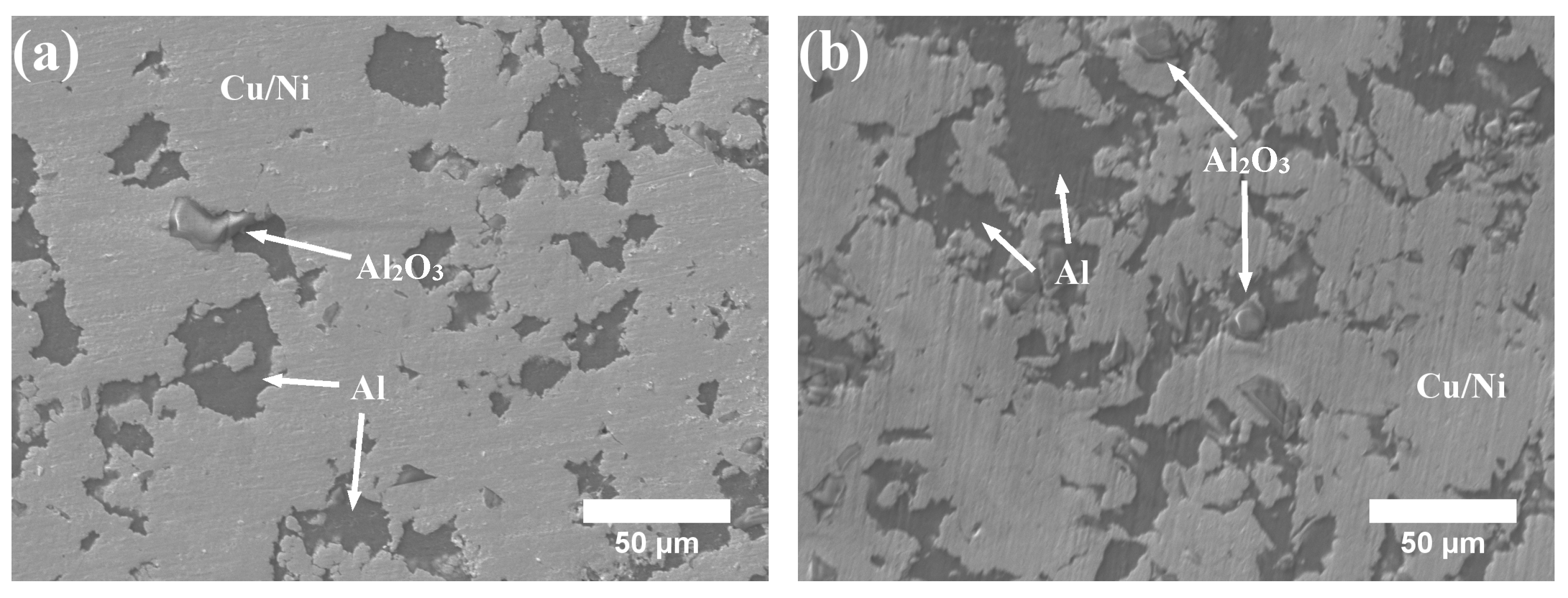 Coatings 13 00948 g003a