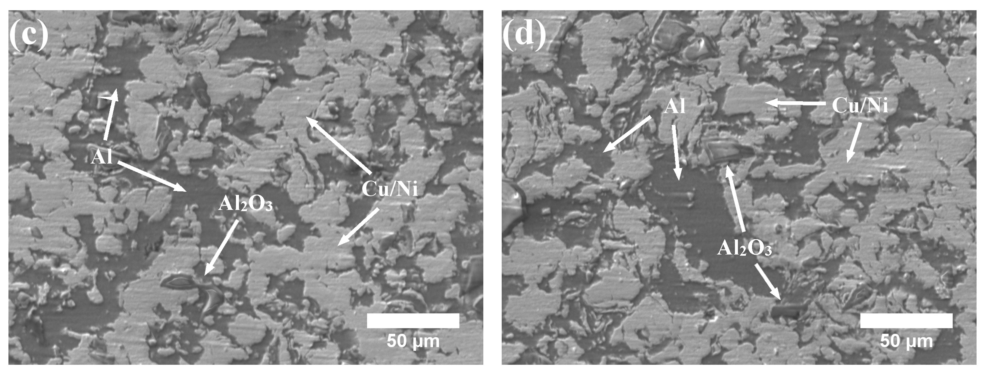 Coatings 13 00948 g003b