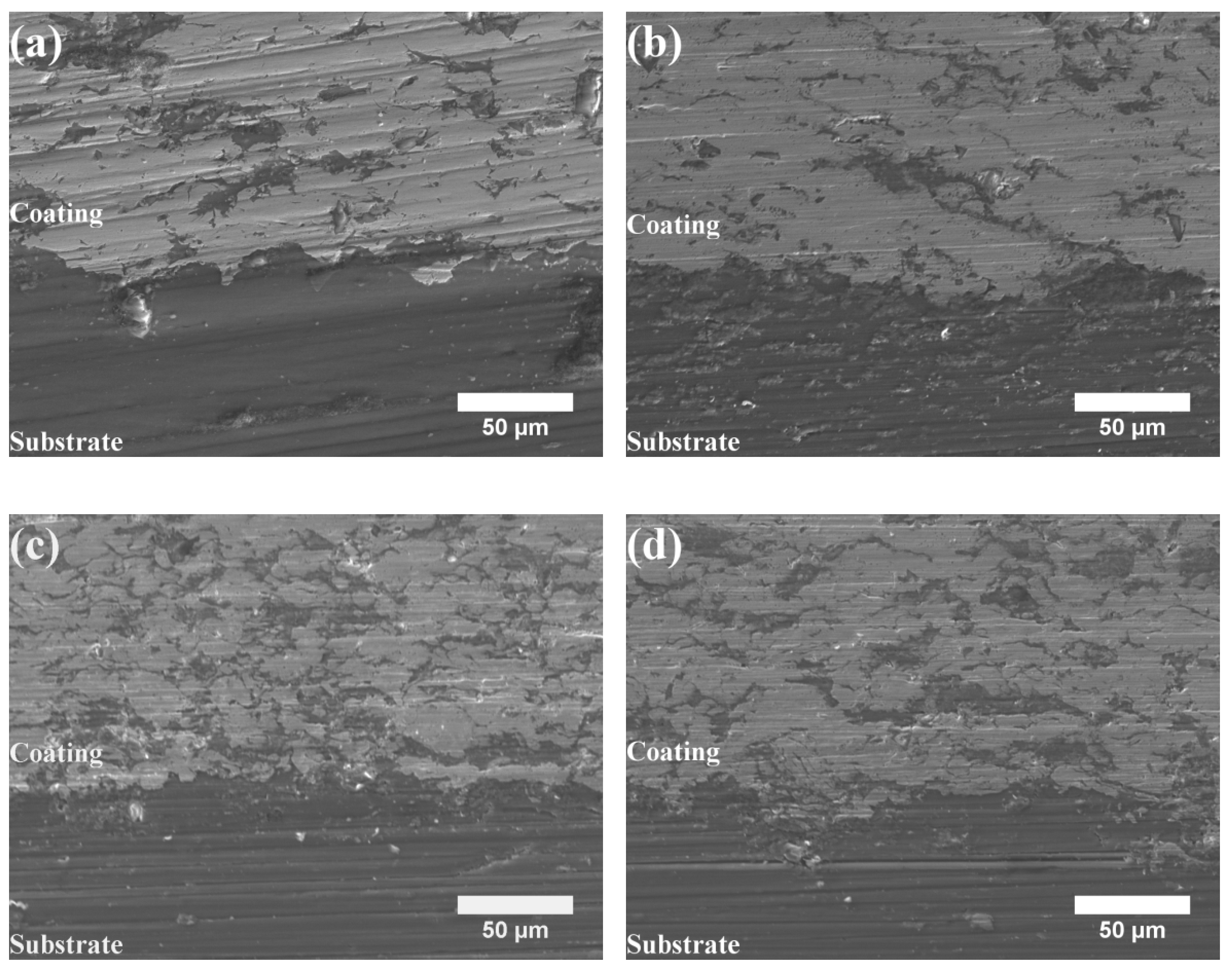 Coatings 13 00948 g004
