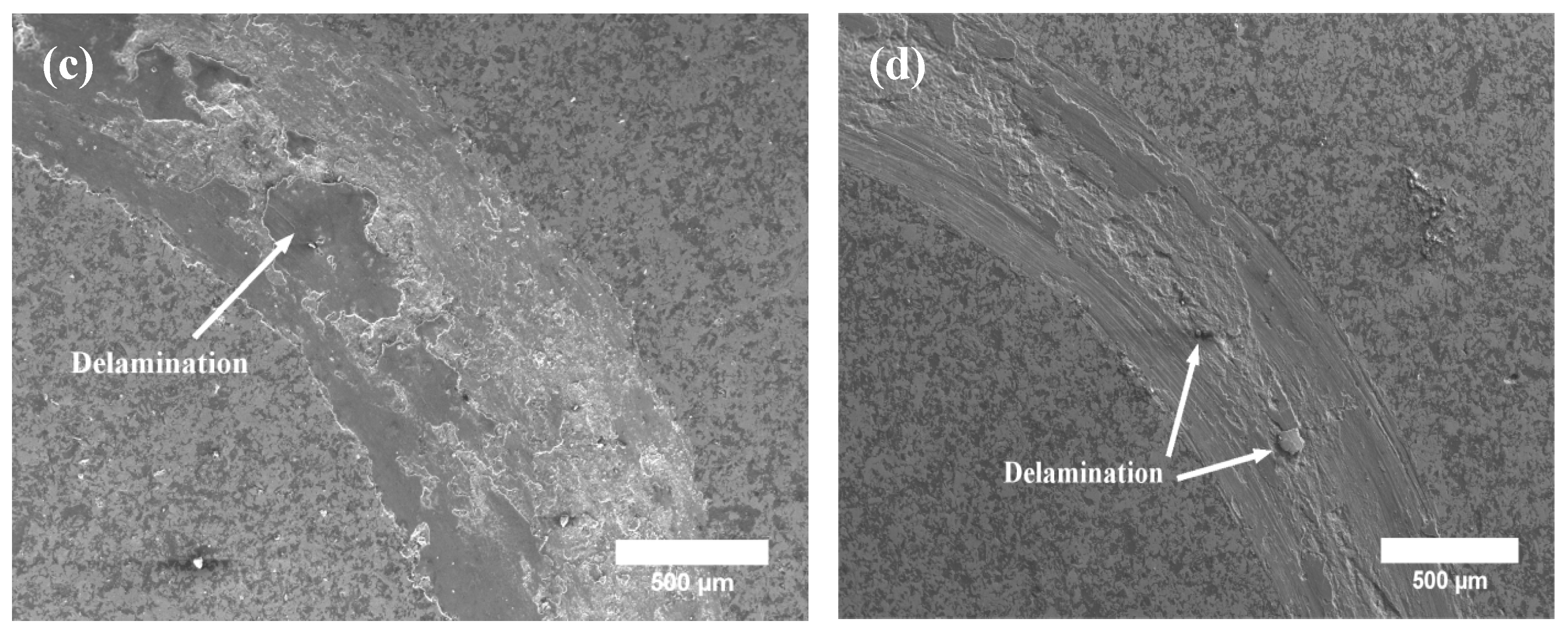 Coatings 13 00948 g009b