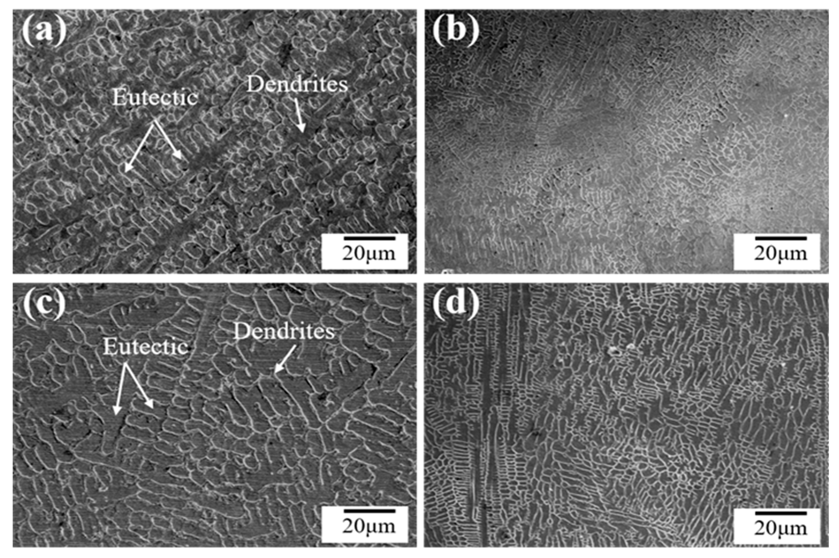 Coatings 13 00949 g007 Coatings 13 00949 g007