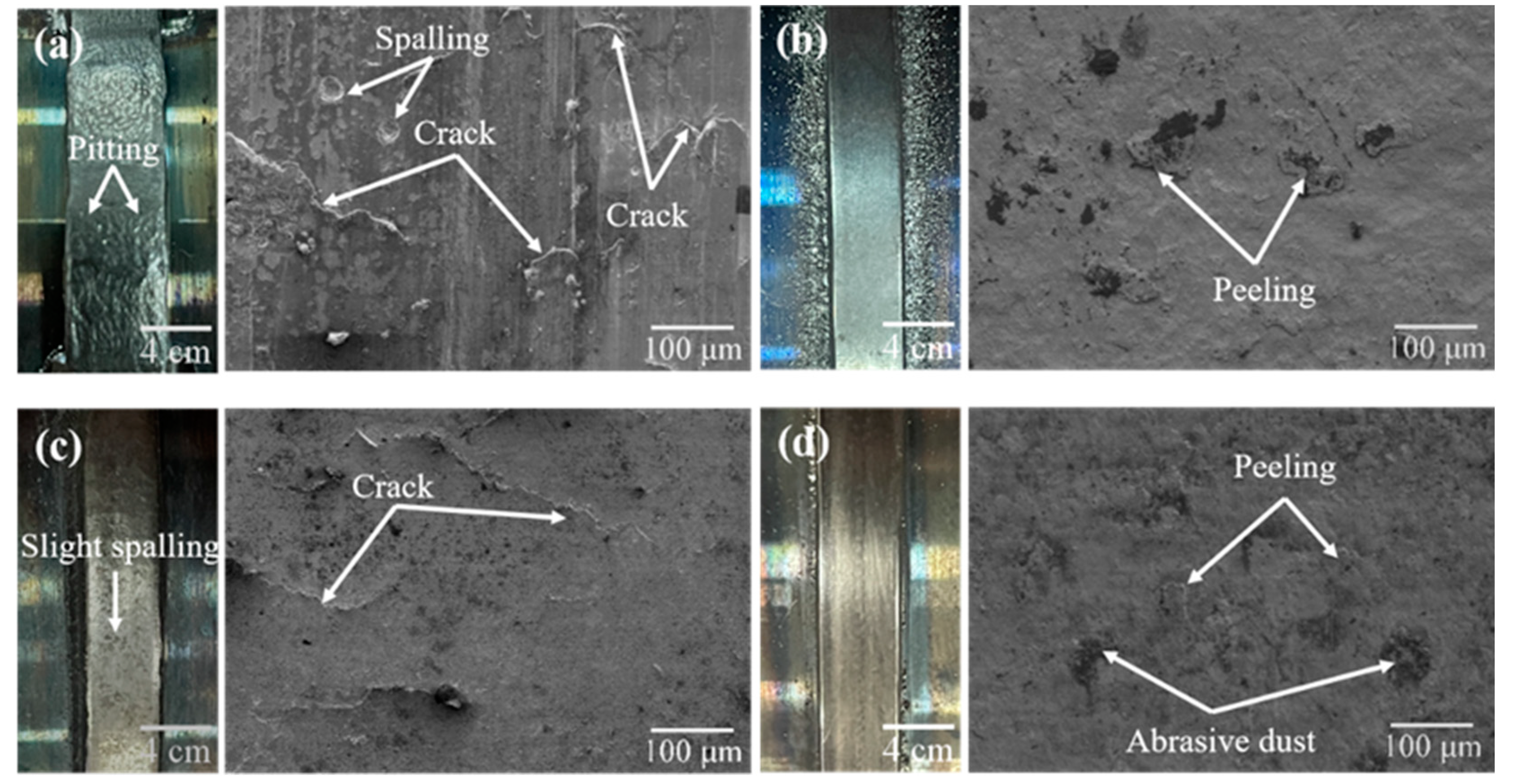 Coatings 13 00949 g012 Coatings 13 00949 g012