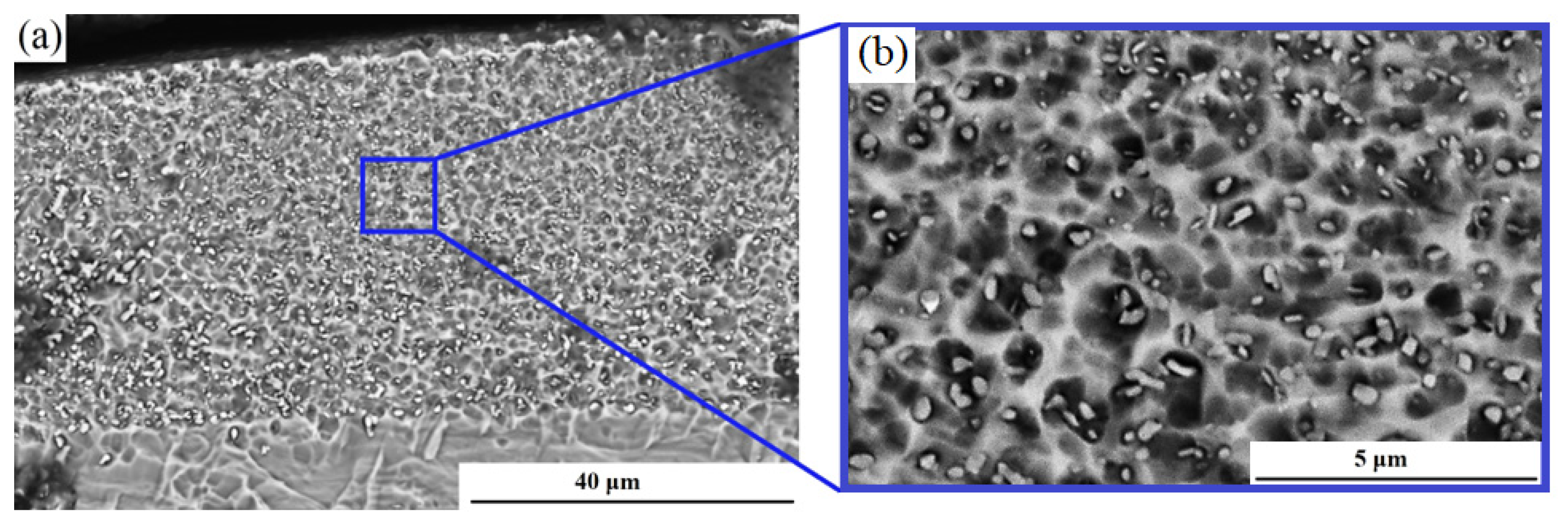 Coatings 13 00951 g004