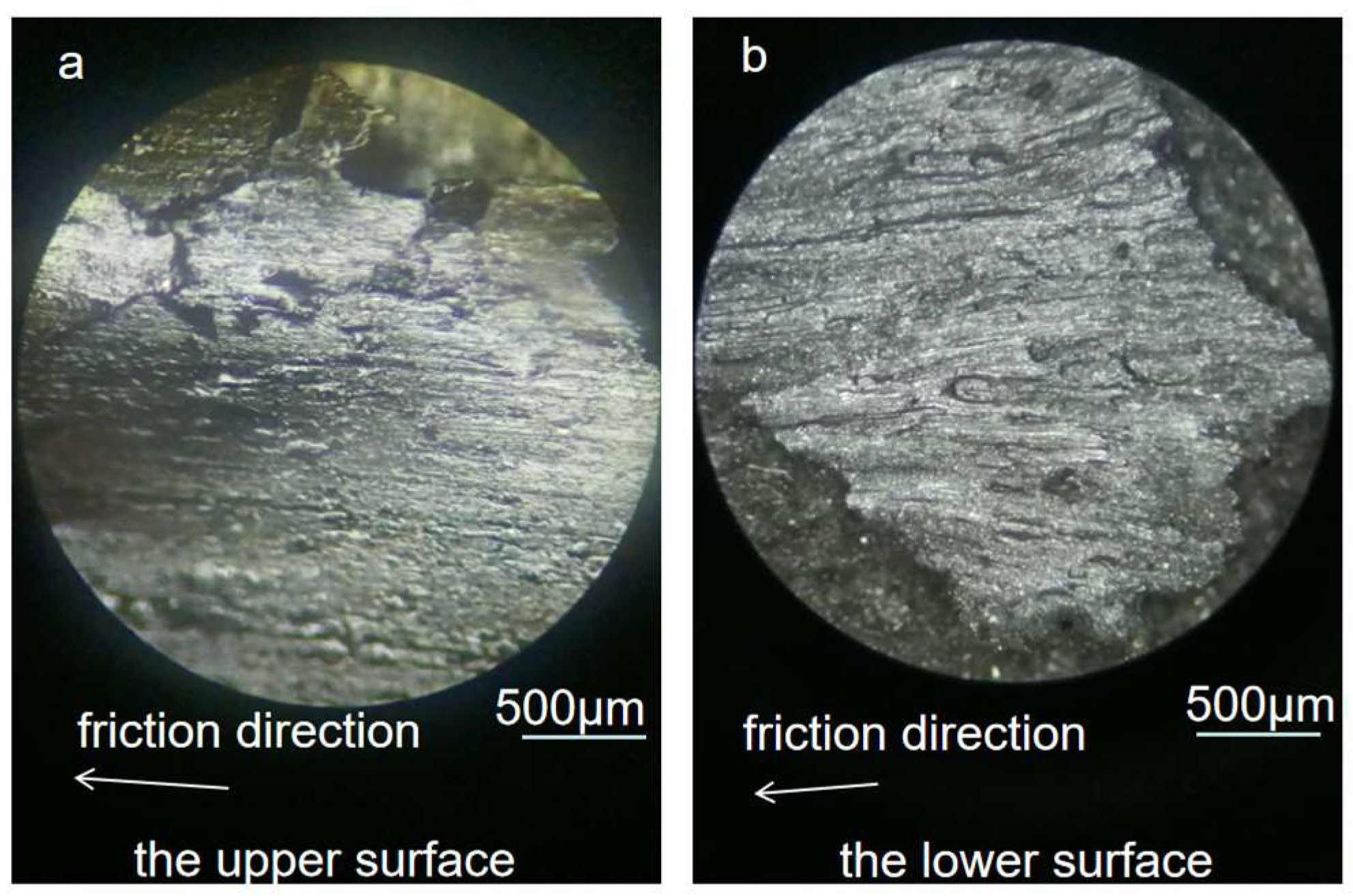 Coatings 13 00952 g003