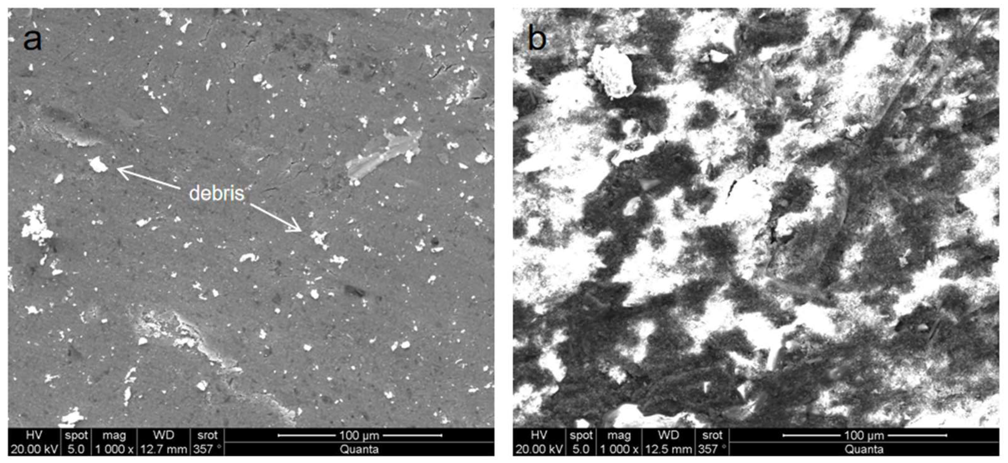 Coatings 13 00952 g004