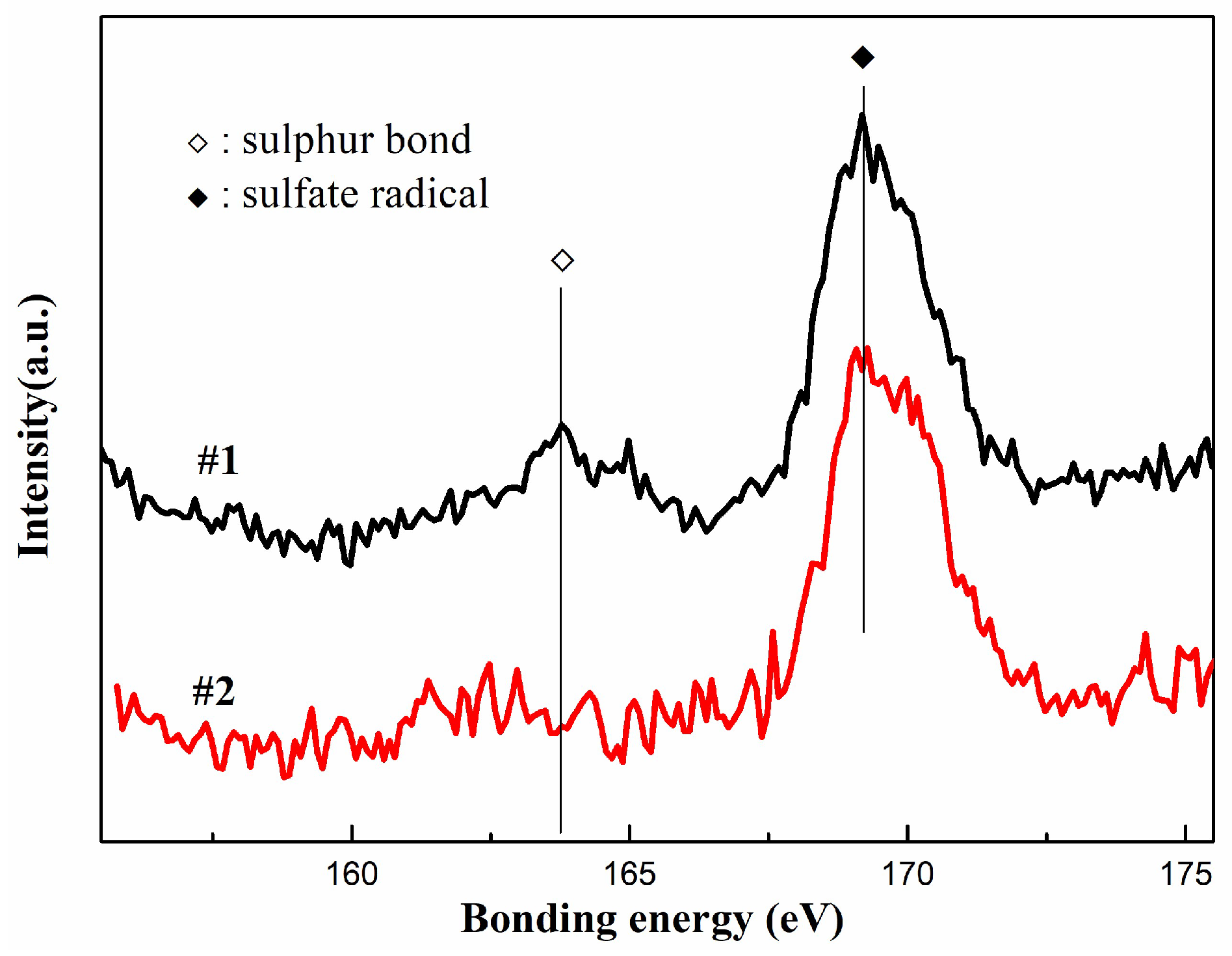 Coatings 13 00952 g008
