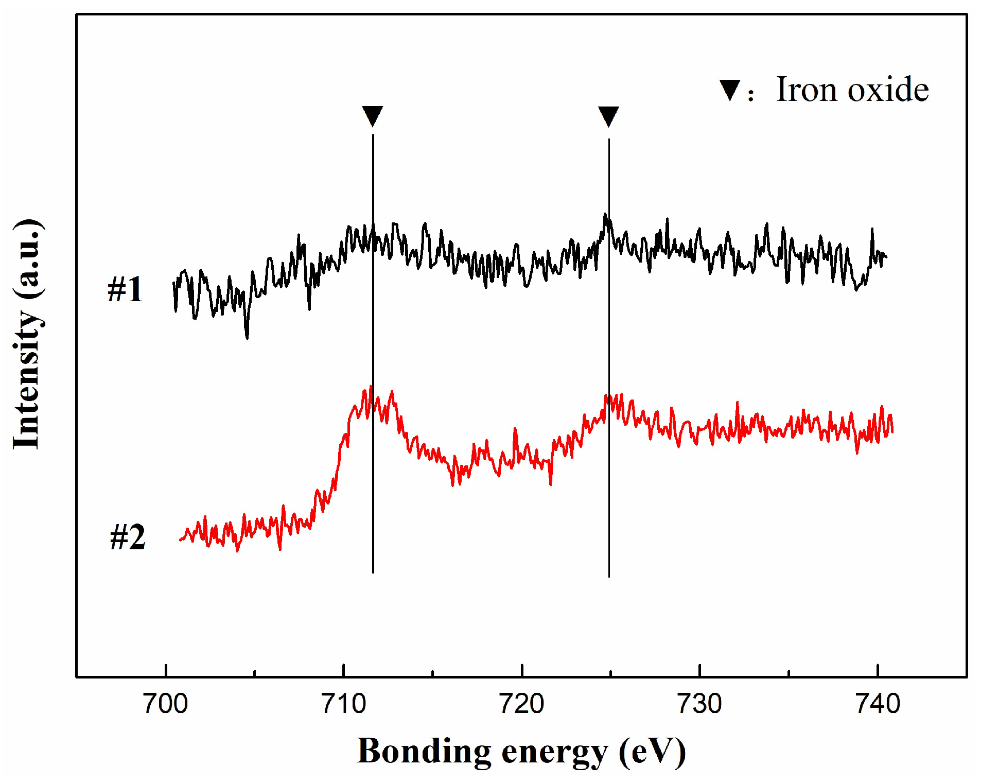 Coatings 13 00952 g009