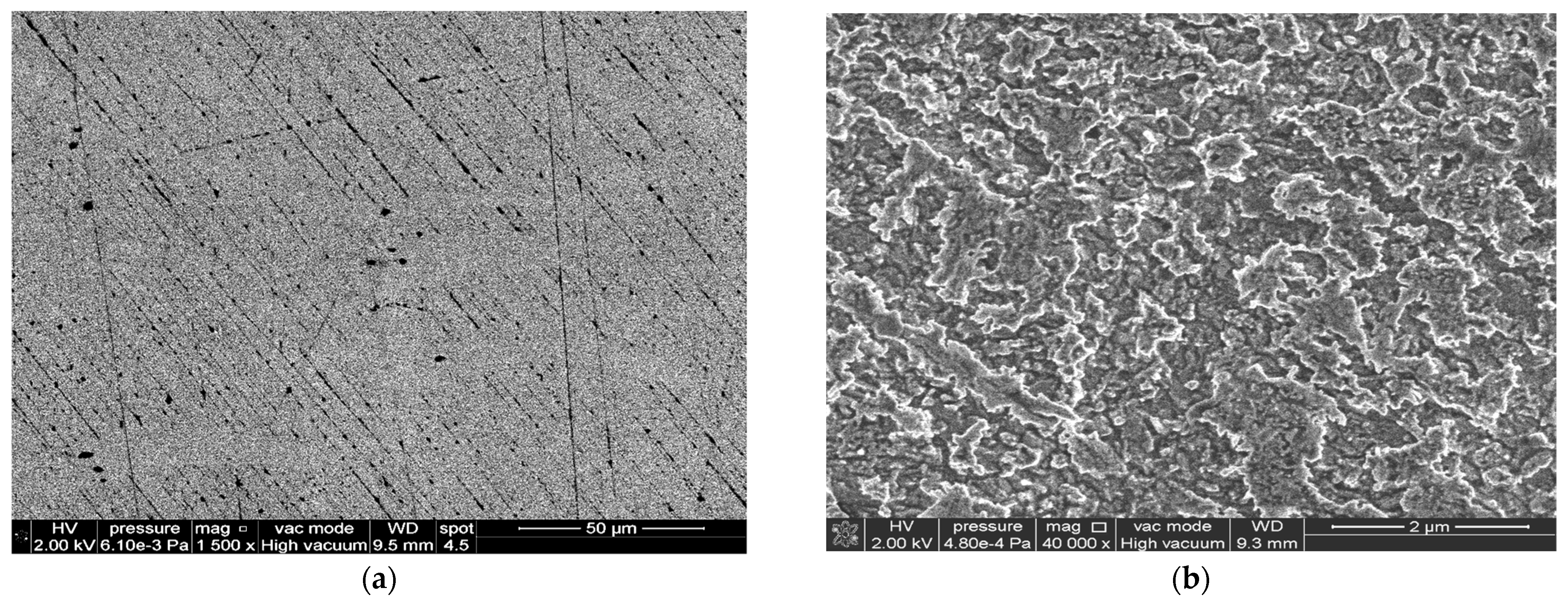 Coatings 13 00953 g013a