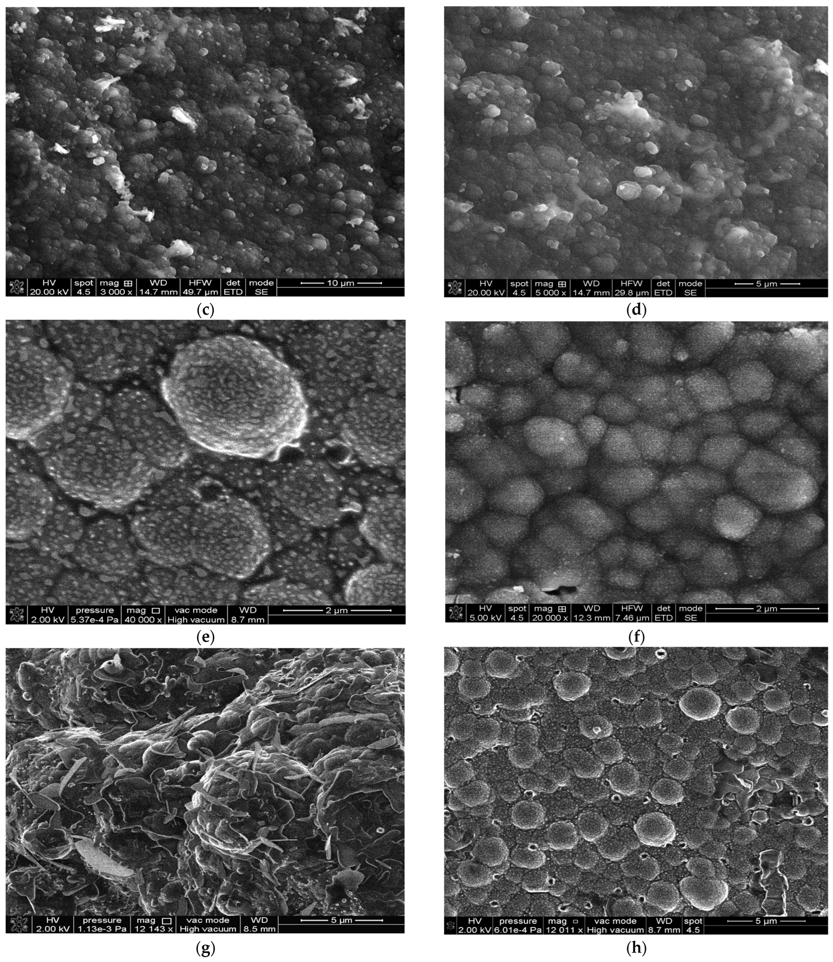 Coatings 13 00953 g013b
