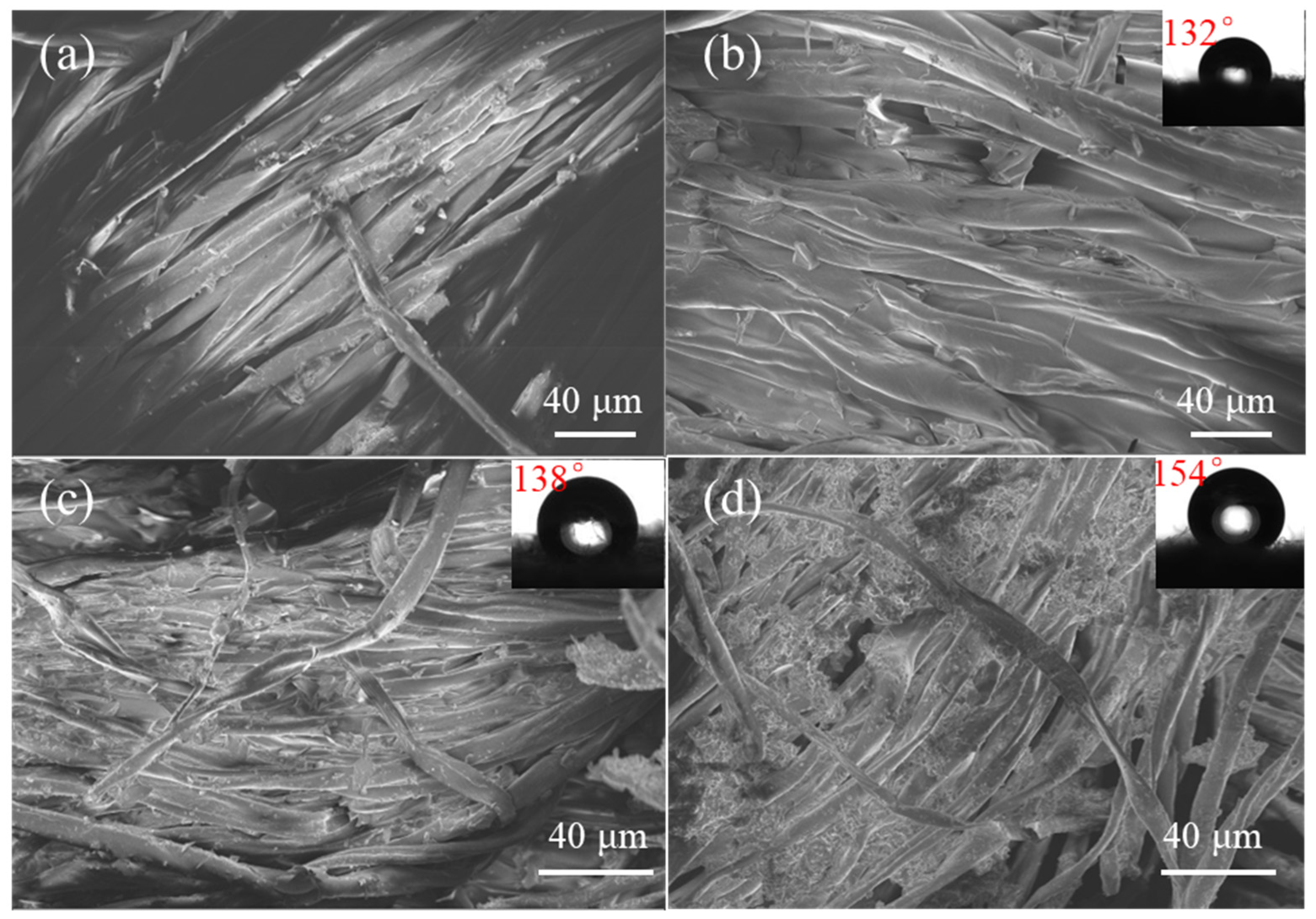 Coatings 13 00954 g006