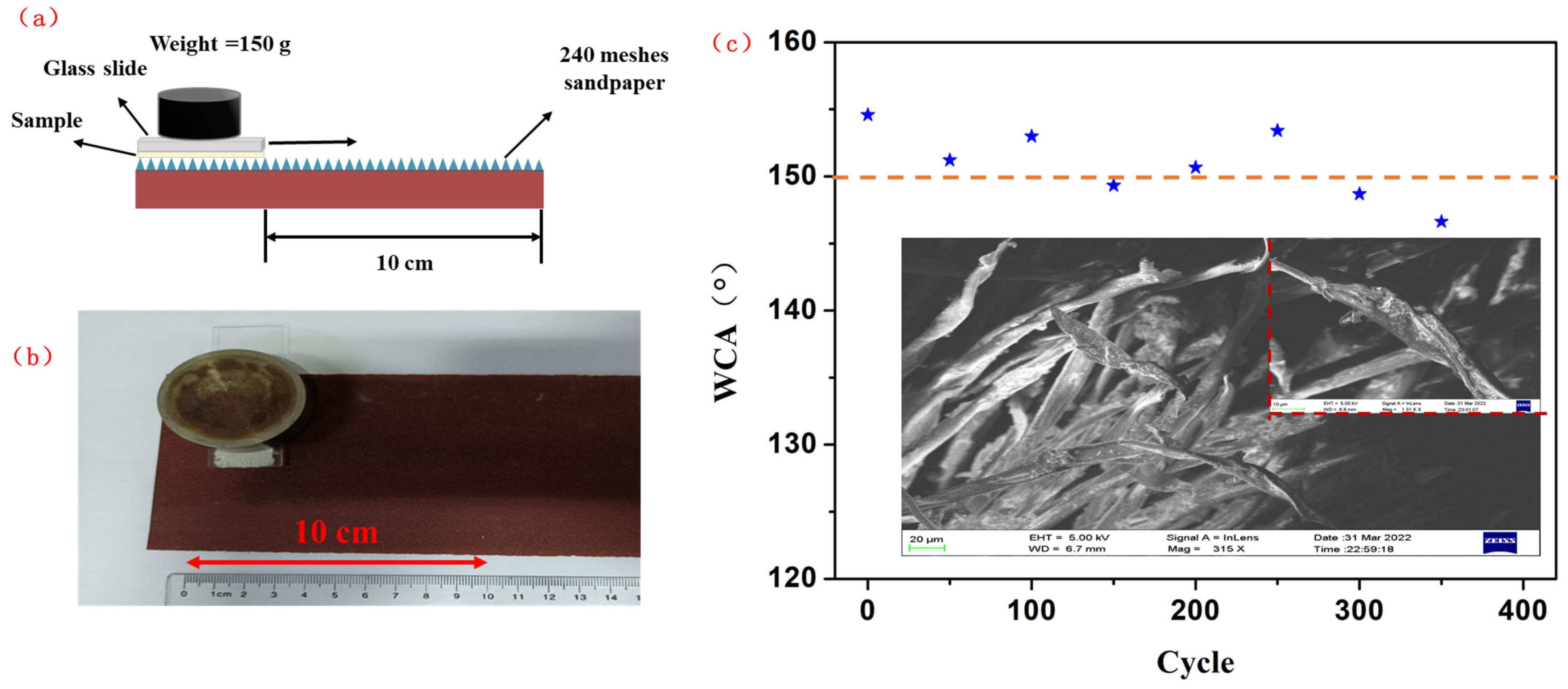 Coatings 13 00954 g009