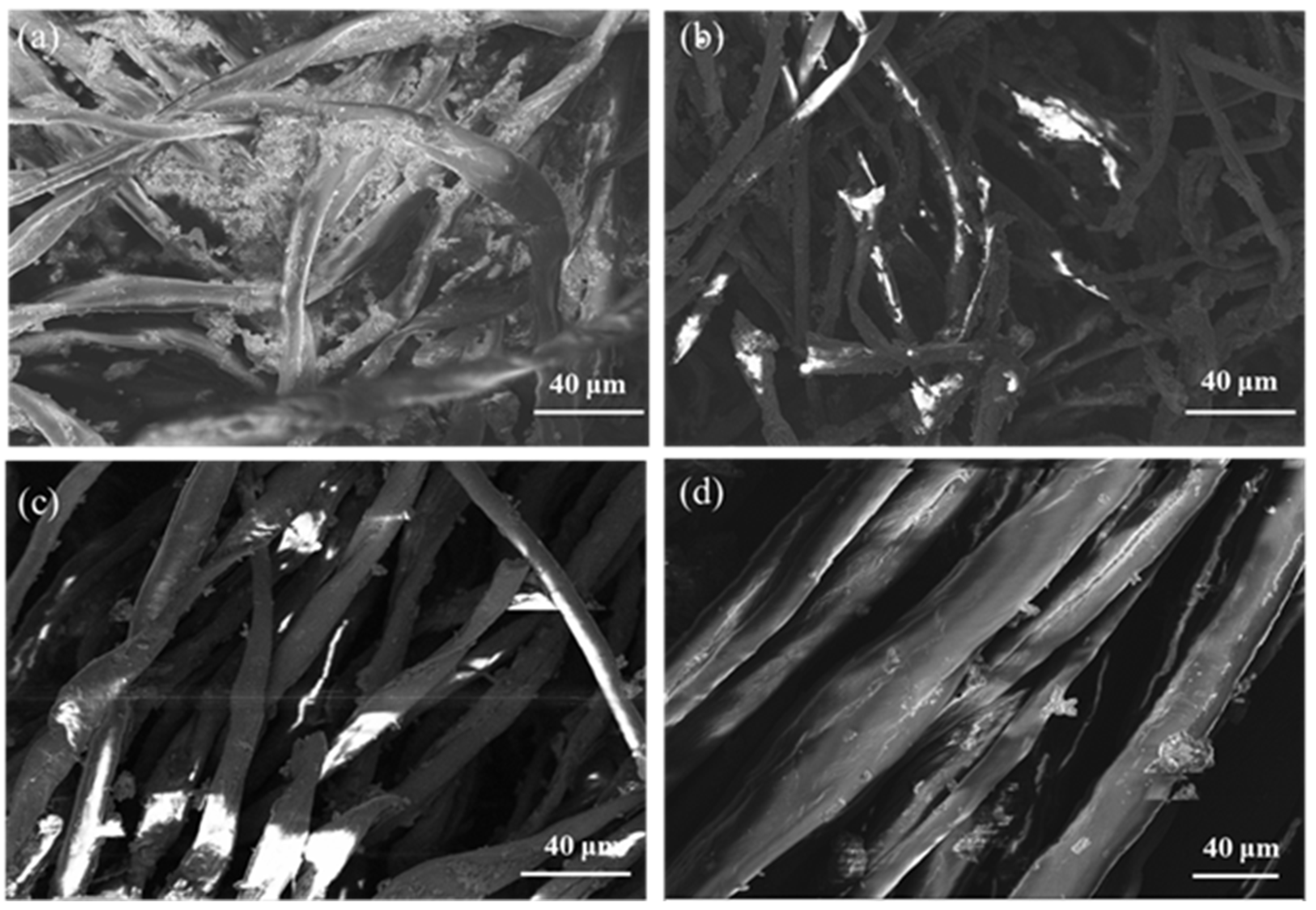 Coatings 13 00954 g011