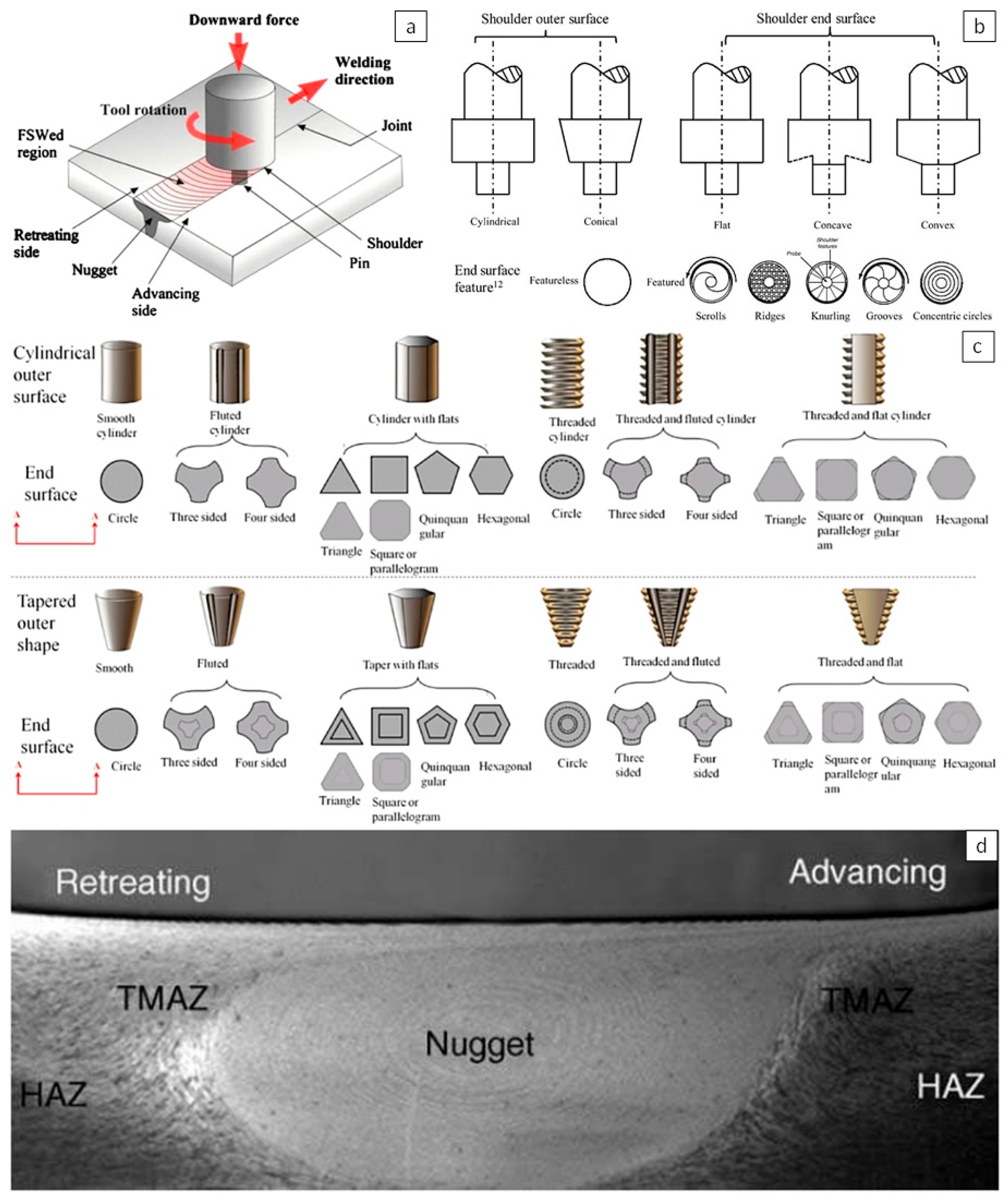 Coatings 13 00958 g002