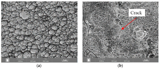 Coatings 13 00959 g005 550