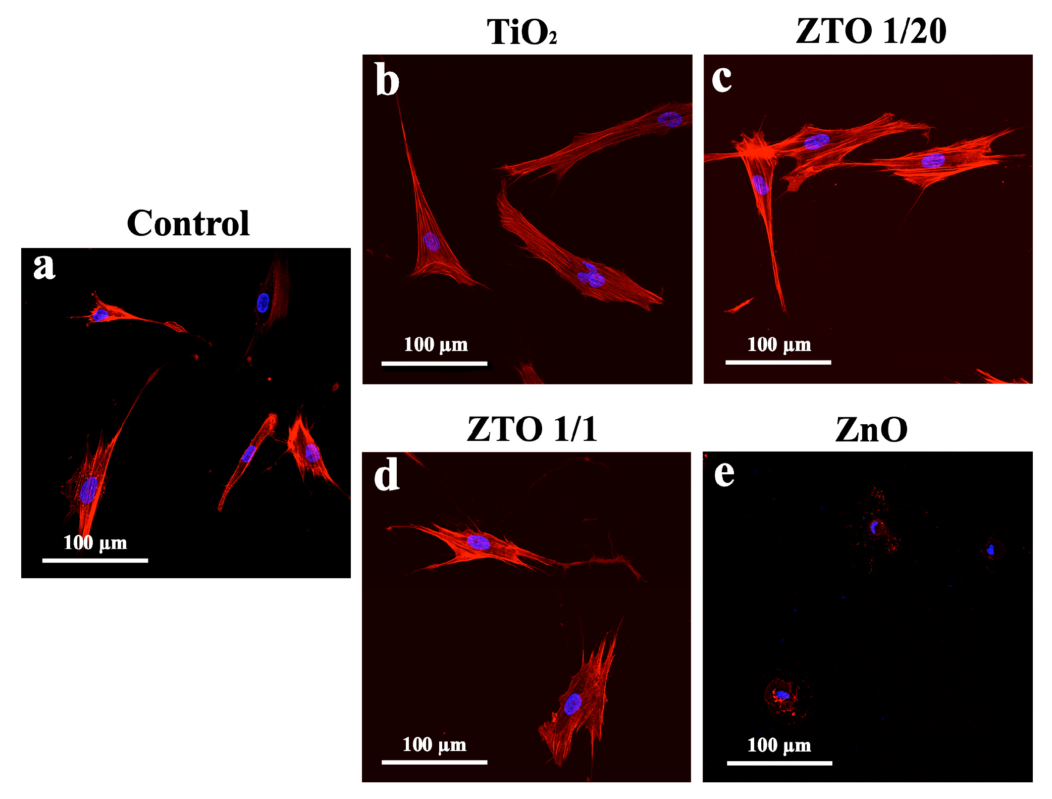 Coatings 13 00960 g008 Coatings 13 00960 g008