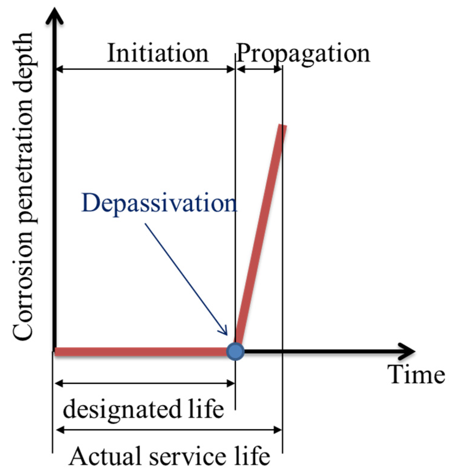 Coatings 13 00964 g001